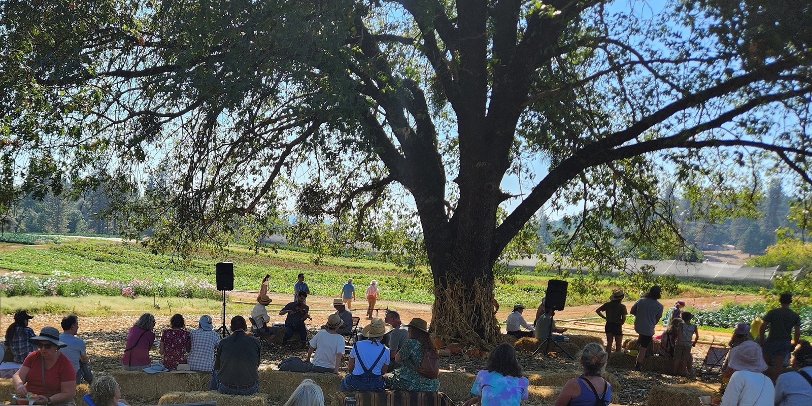 Banner image for Mountain Bounty Farm's Harvest Festival and Pig Roast