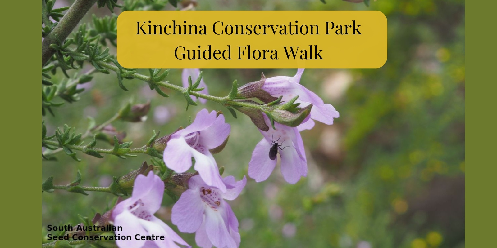 Banner image for Kinchina Conservation Park Guided Flora Walk