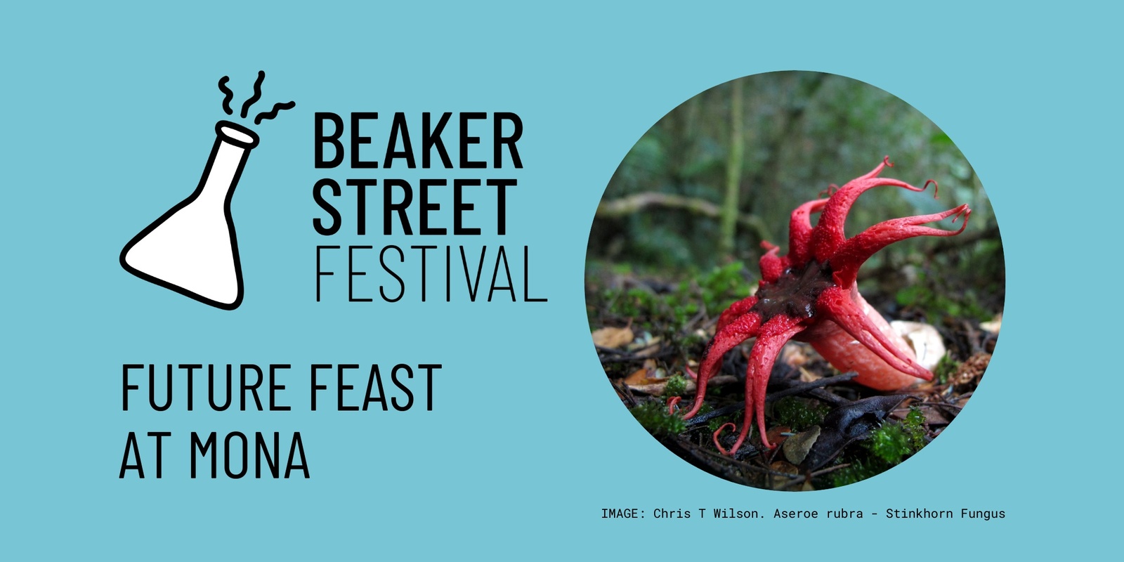 Banner image for Future Feast at Mona