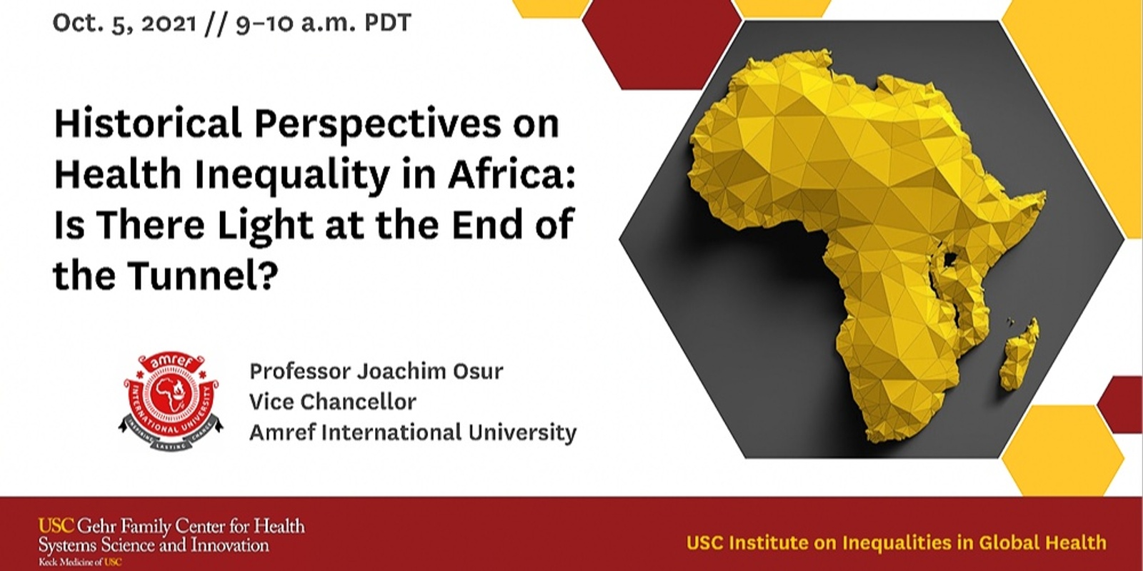 Banner image for Historical Perspectives on Health Inequality in Africa: Is There Light at the End of the Tunnel? 