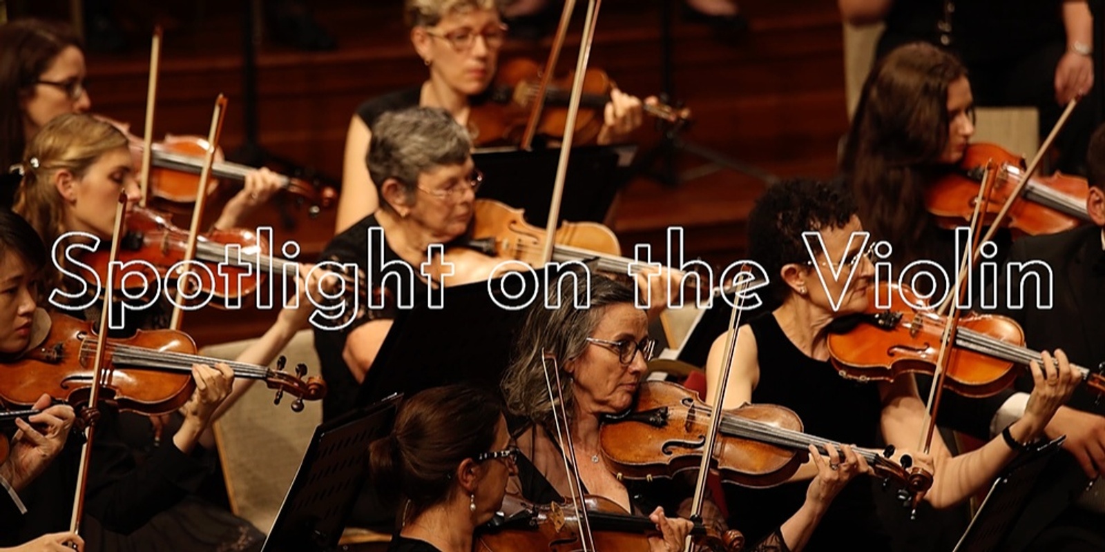 Banner image for Spotlight on the Violin - Sunshine Coast