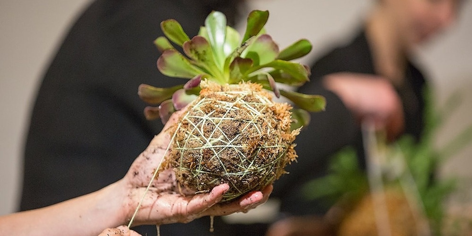 Banner image for Kokedama Moss Balls with Maddy