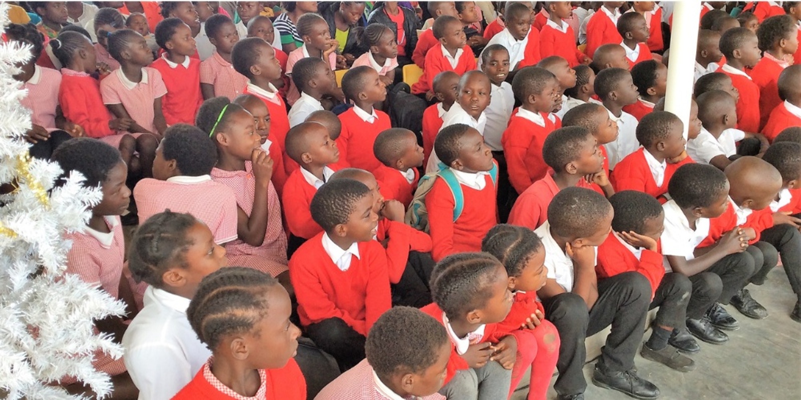 Zambia's Child's banner