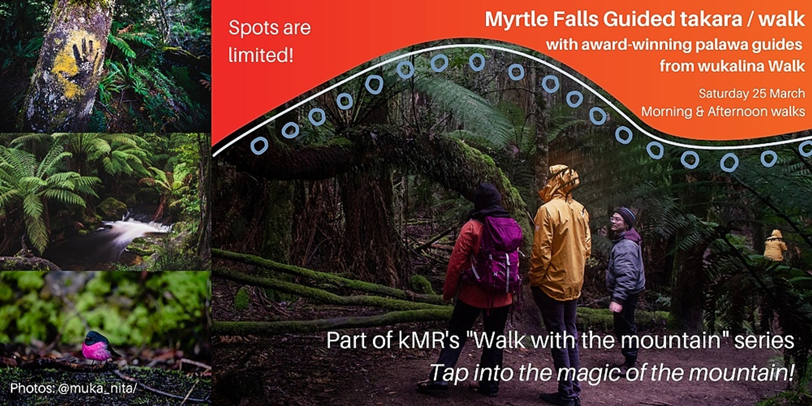Banner image for Myrtle Falls Guided takara/walk with award-winning palawa guides from wukalina Walk