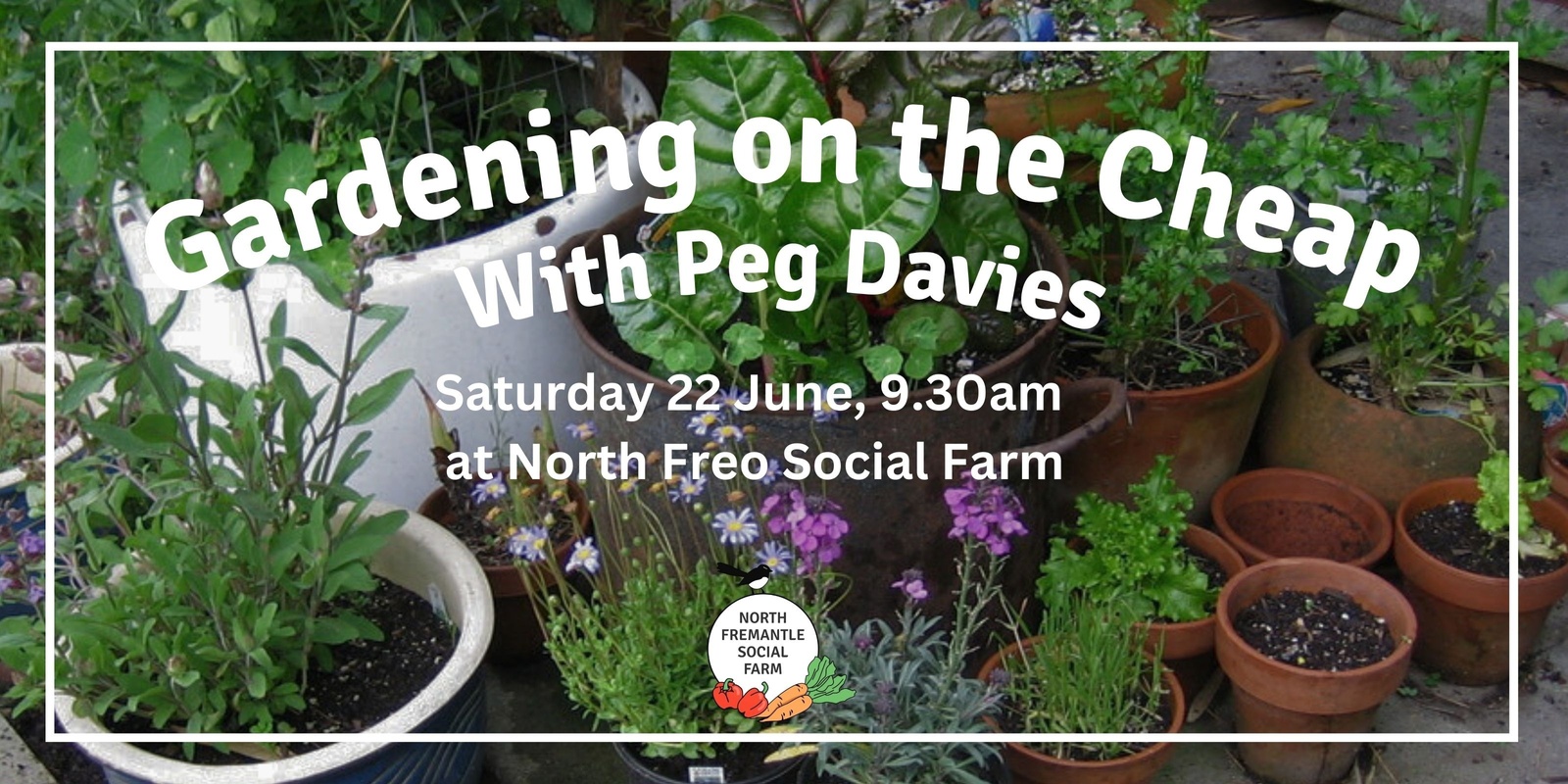 Banner image for Gardening on the Cheap with Peg Davies
