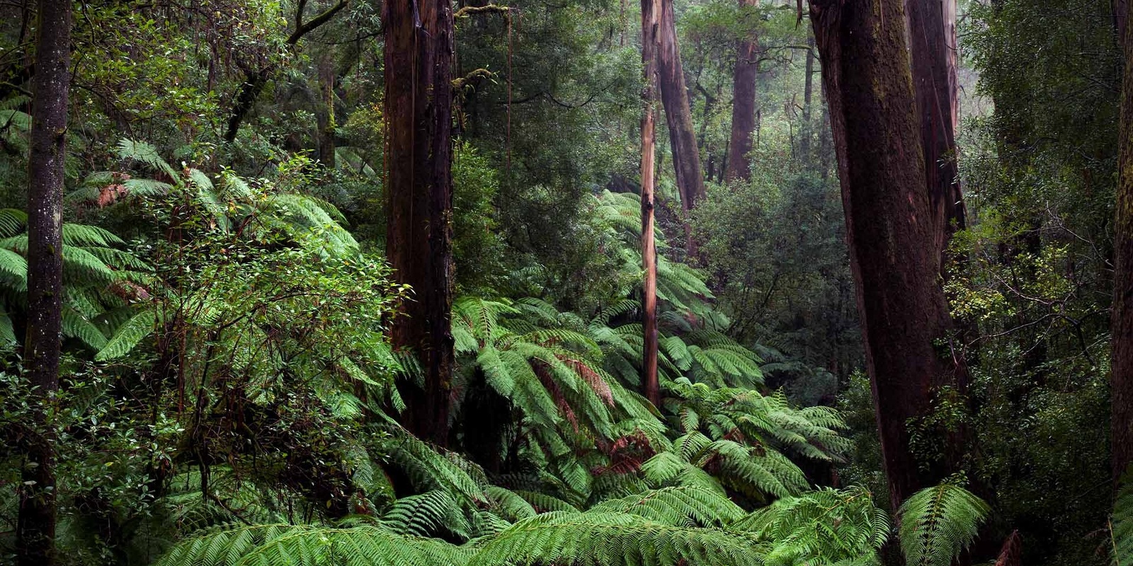 Banner image for Circular Economy Melbourne Basecamp 2024 Information Session