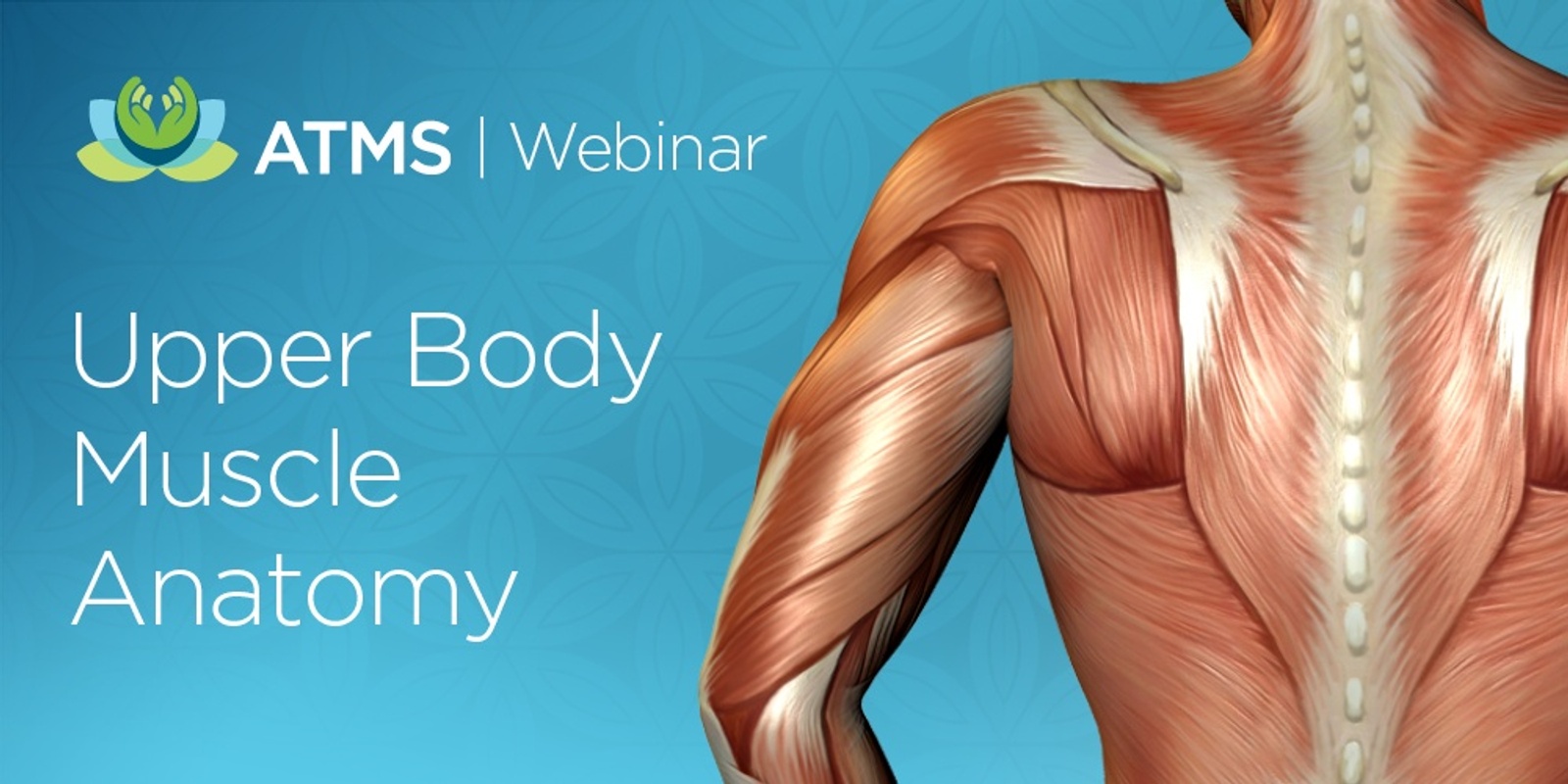 Webinar Recording: Anatomy Revision - Muscles of the Upper Body