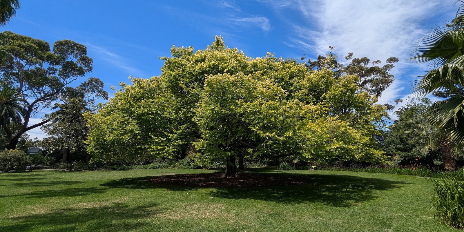 Banner image for Free Community Meditation Circle - Williamstown Botanical Gardens @ 9.30am Sunday Weekly