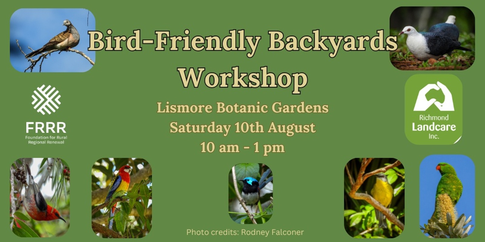 Banner image for Bird-Friendly Backyards Workshop