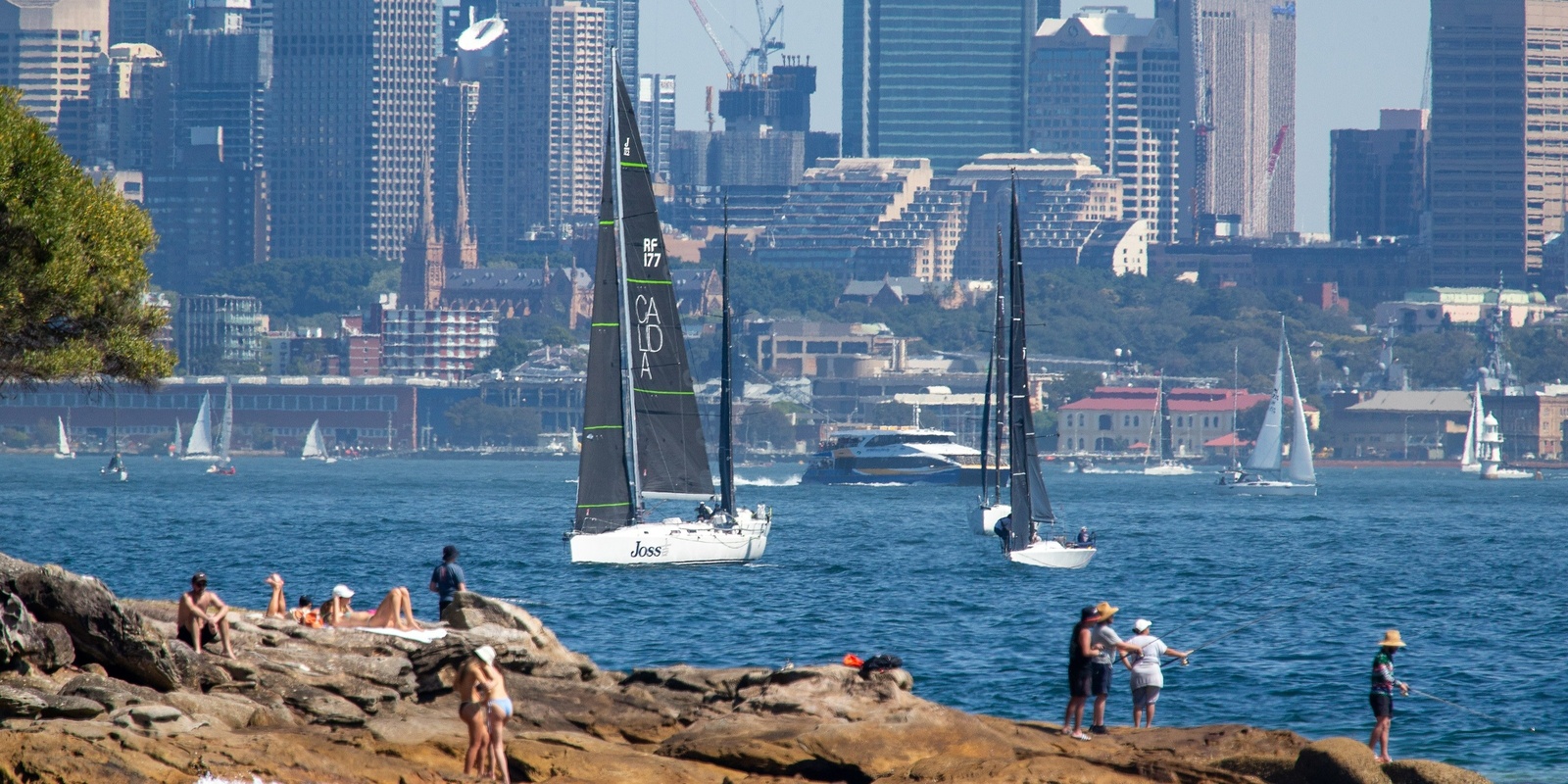 Banner image for CYCA Owners’ Forum: Racing Calendar Review - Inshore and Coastal Racing