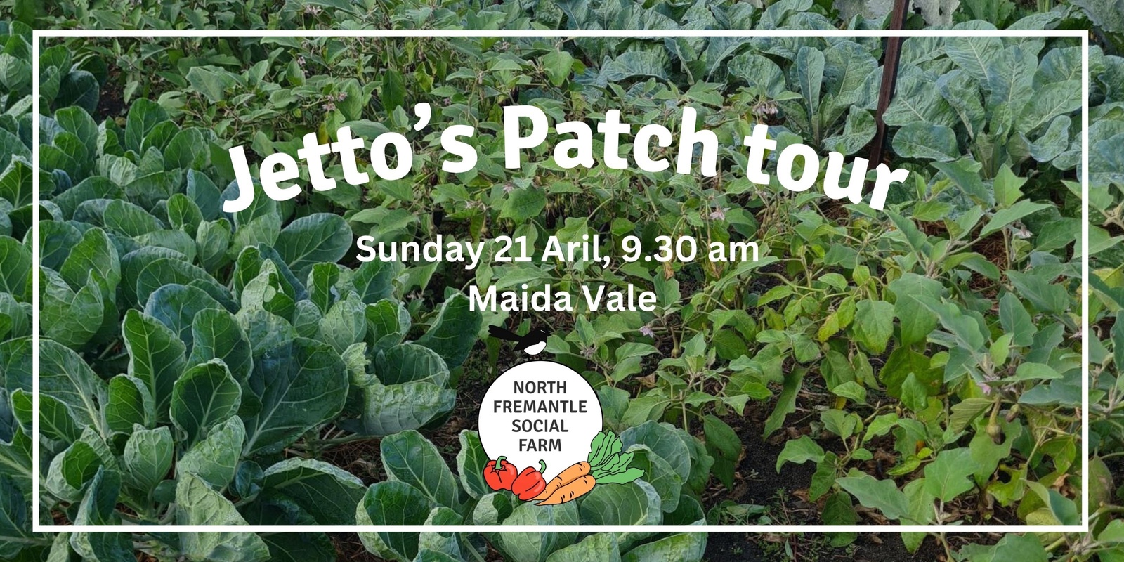Banner image for Jetto's Patch Garden Tour, Maida Vale 