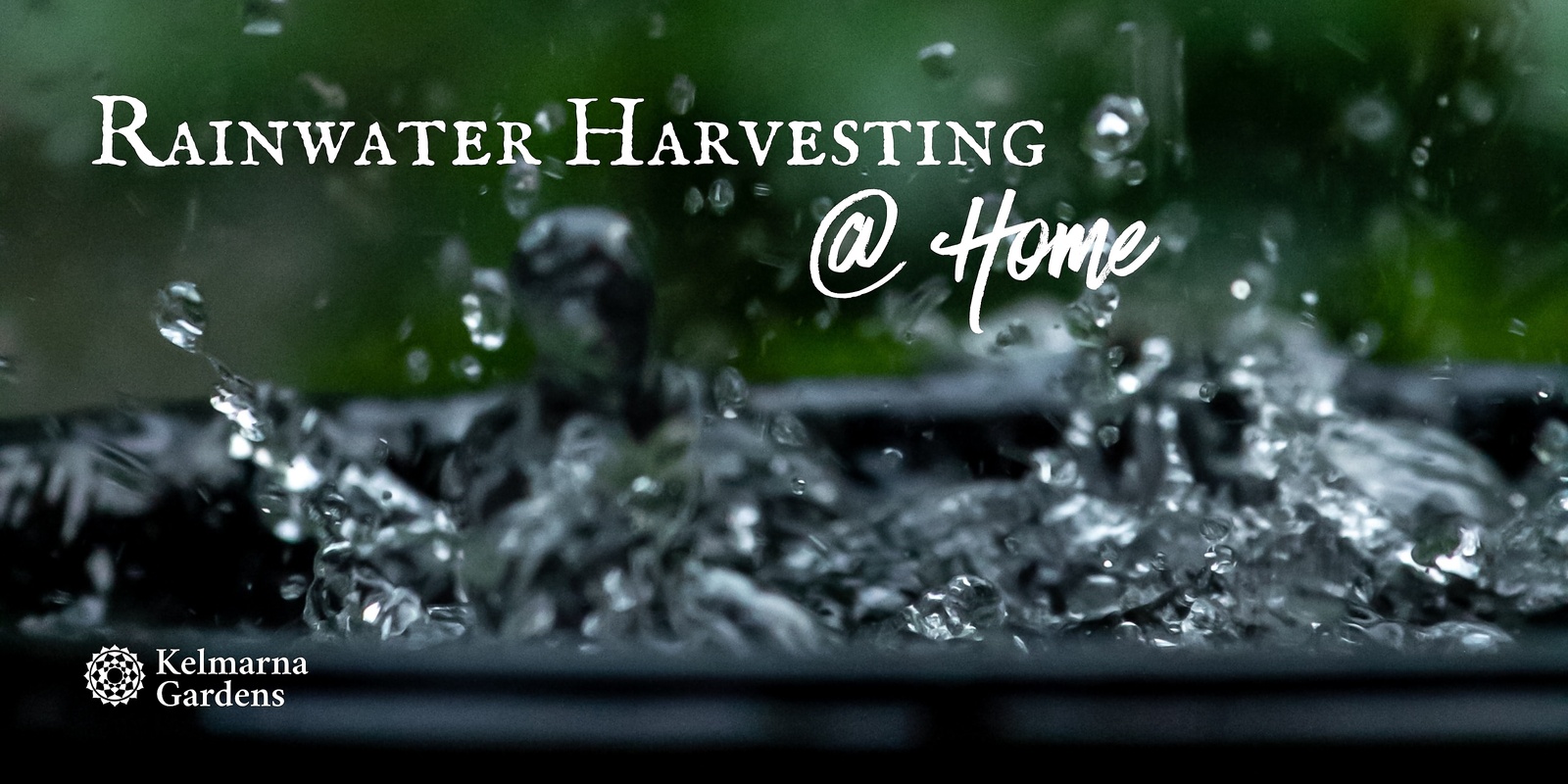 Banner image for Rainwater Harvesting at Home