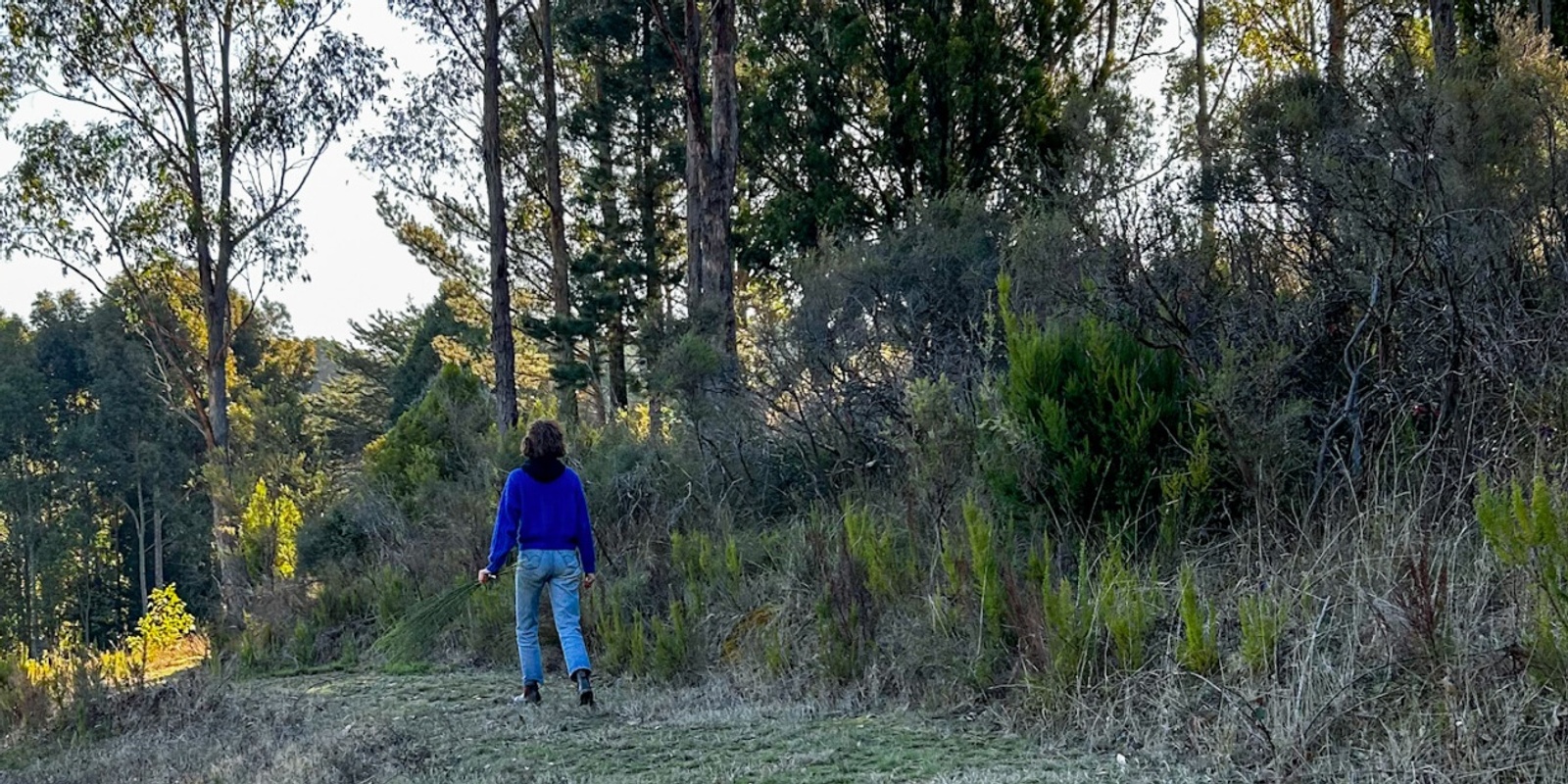 Banner image for IMMERSIVE FOREST 'BATHING' EXPERIENCE BASKET RANGE