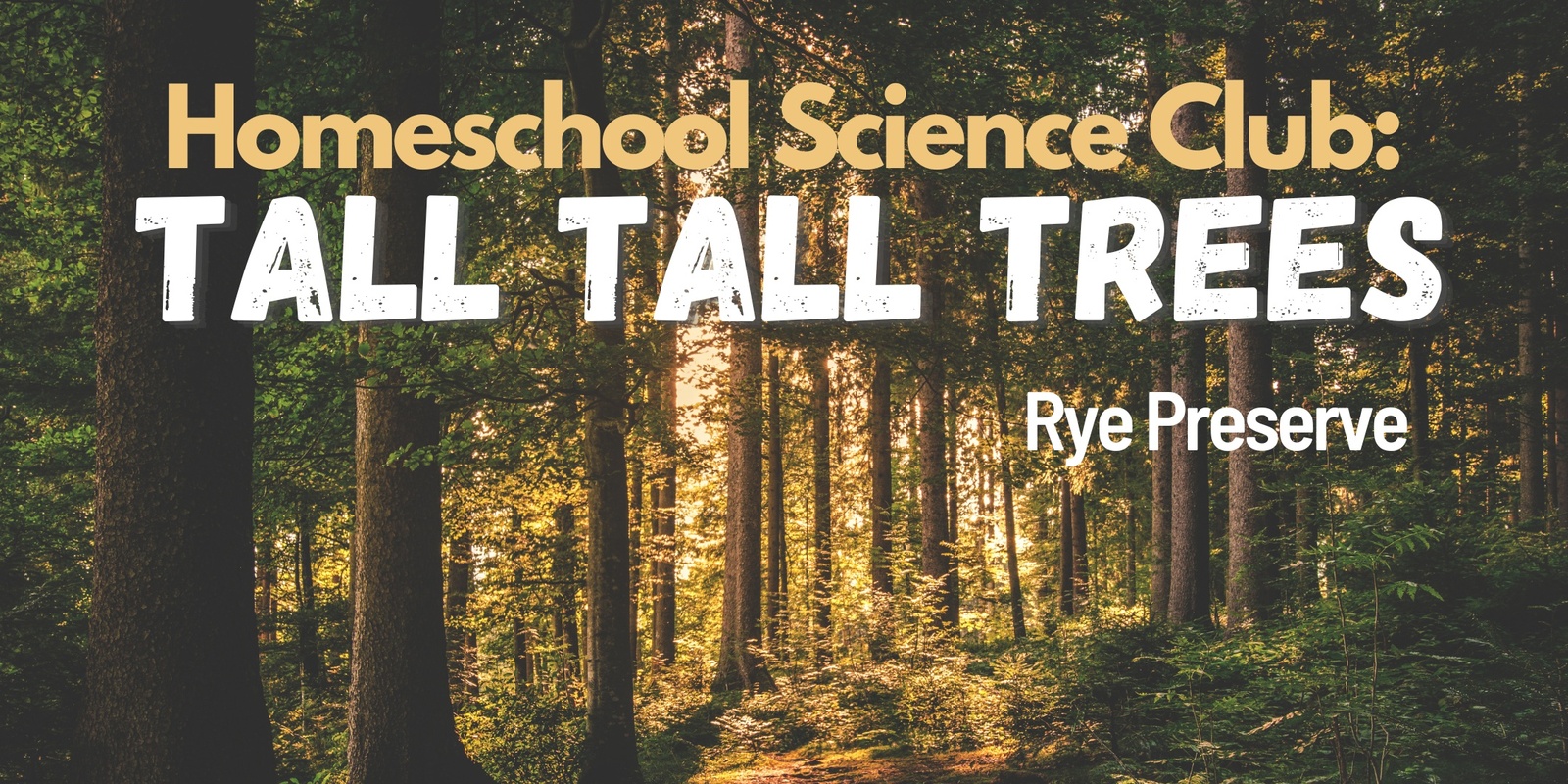 Banner image for Homeschool Science Club: Tall Tall Trees (Rye)