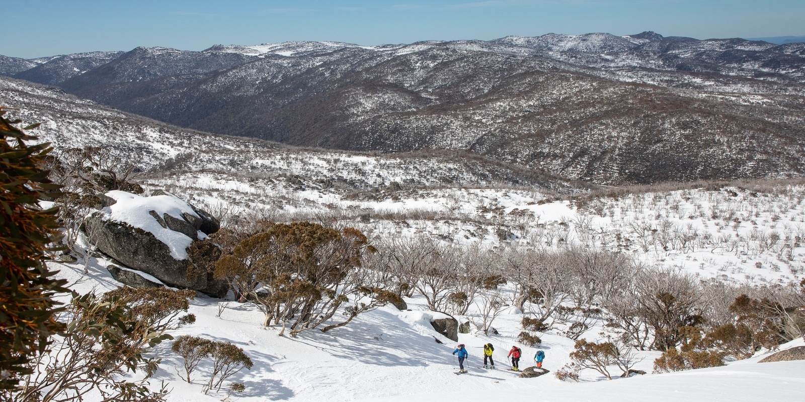 Banner image for A panel discussion - Our Changing Snowscapes: Climate Change Impacts and Recommendations for the Australian Alps