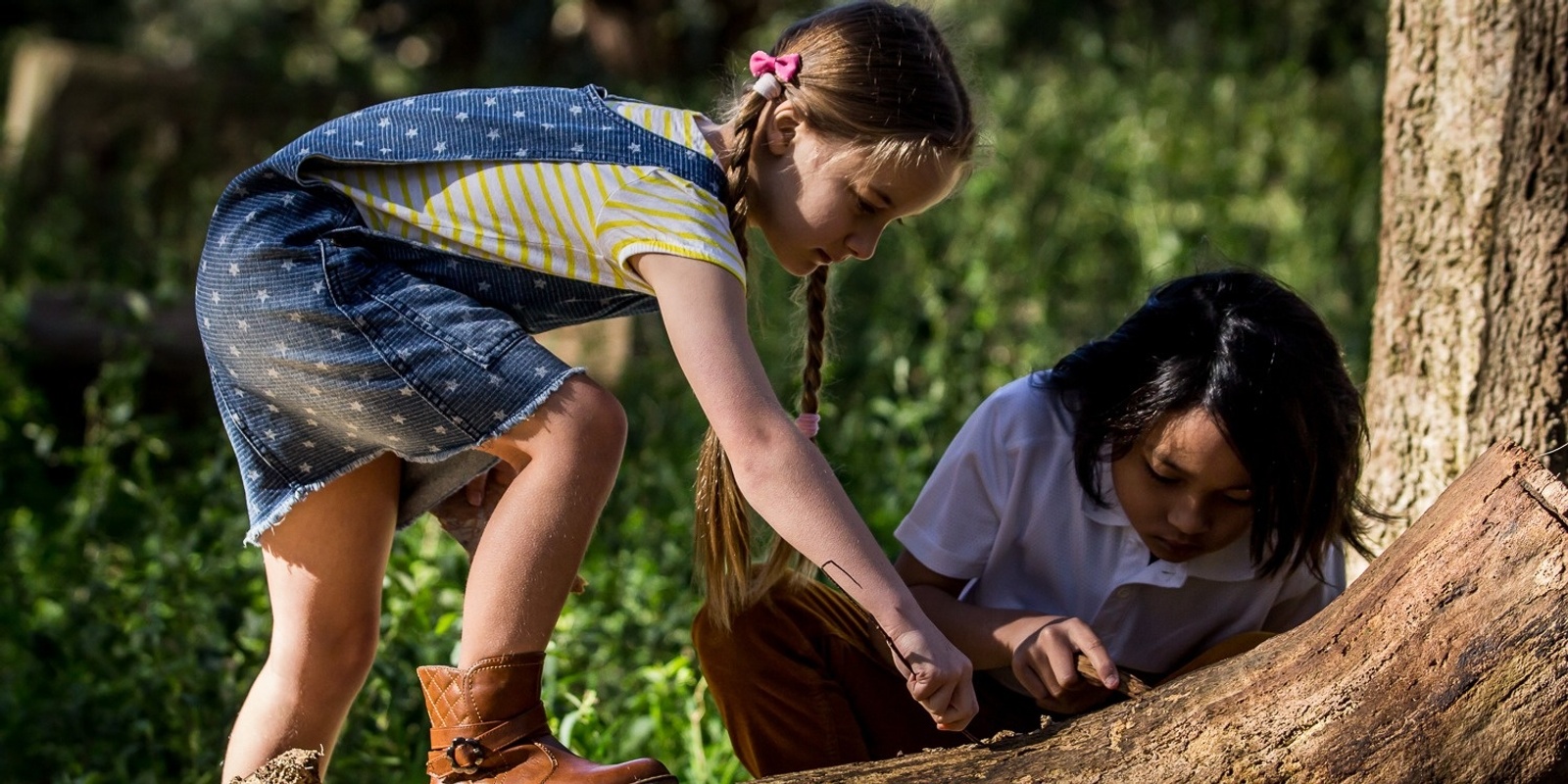 Banner image for Park Science - Nature's Superpowers 2023