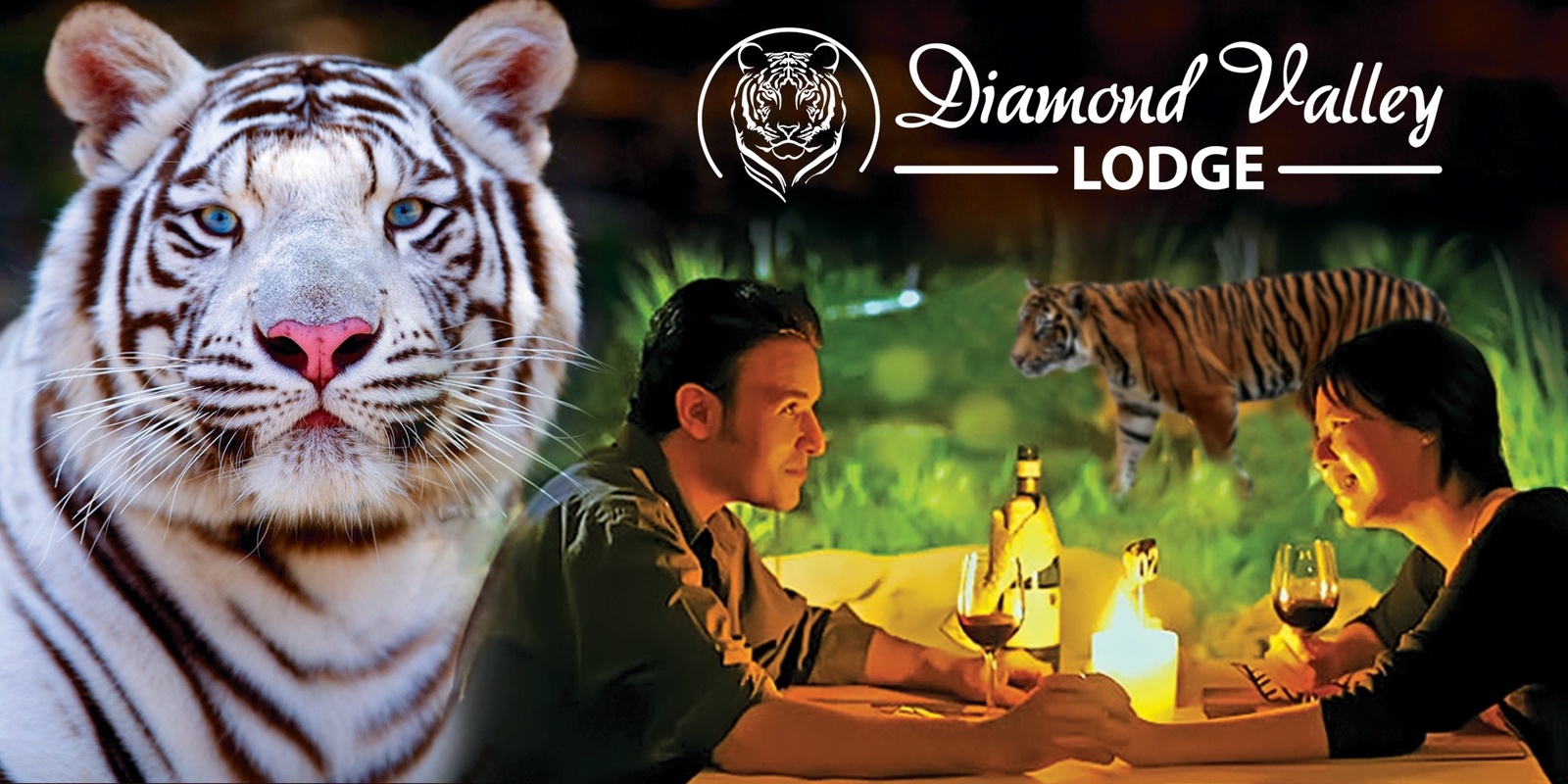 Banner image for Dinner with Tigers - Evening Under the Stars!