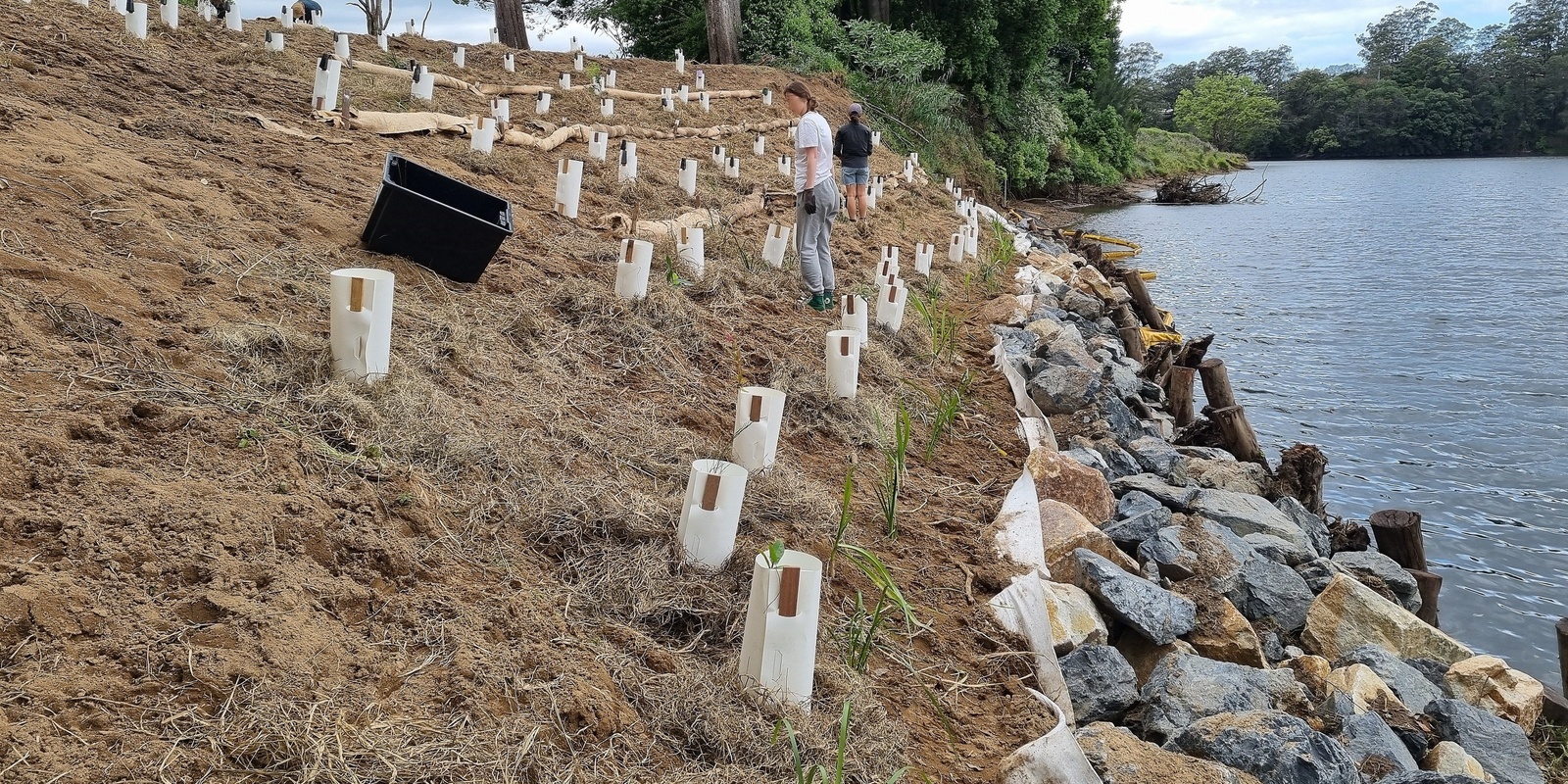 Banner image for Fish habitat/bank stabilisation and lunch/AGM