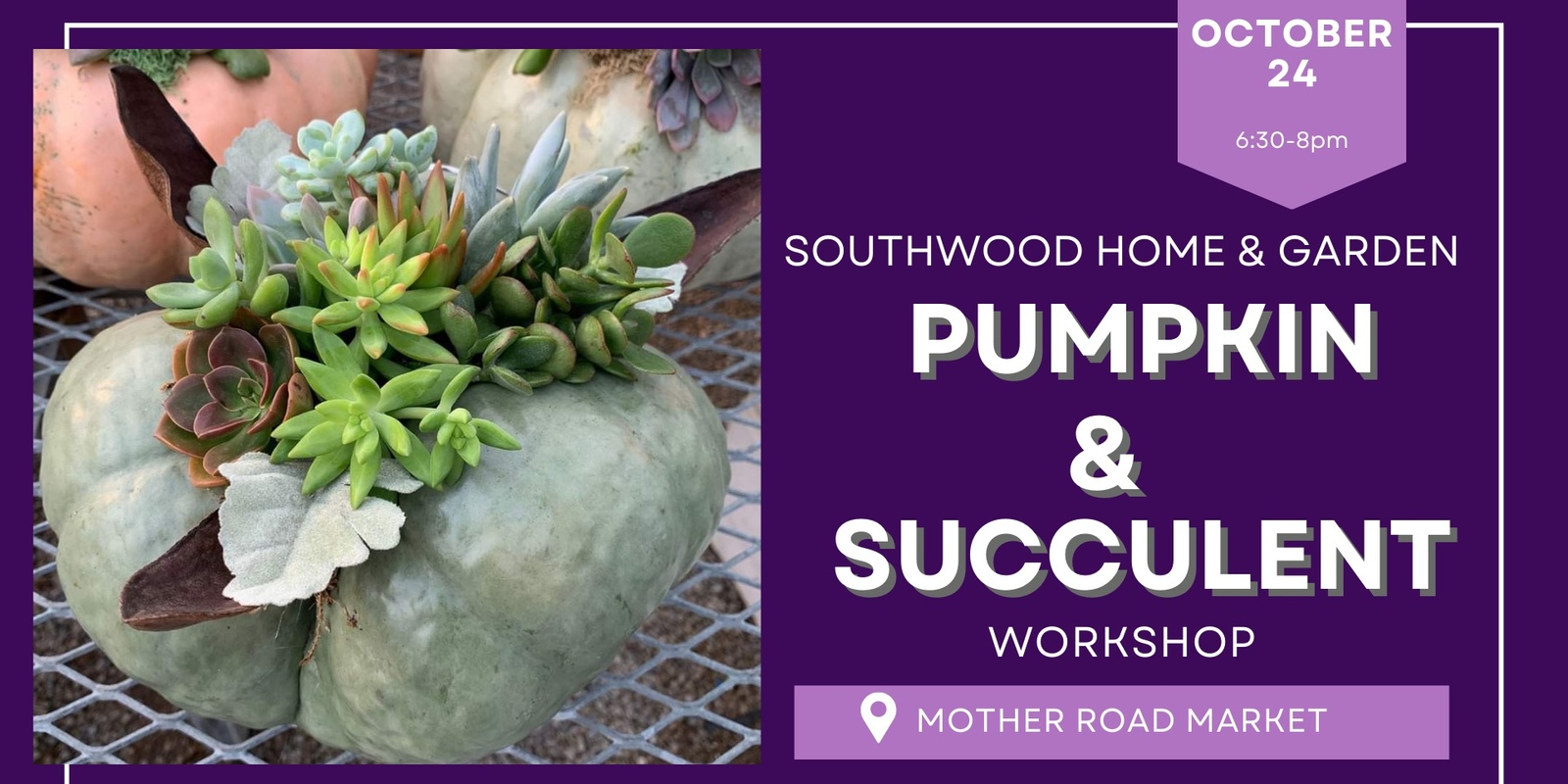 Banner image for Pumpkin & Succulent Workshop with Southwood Home & Garden