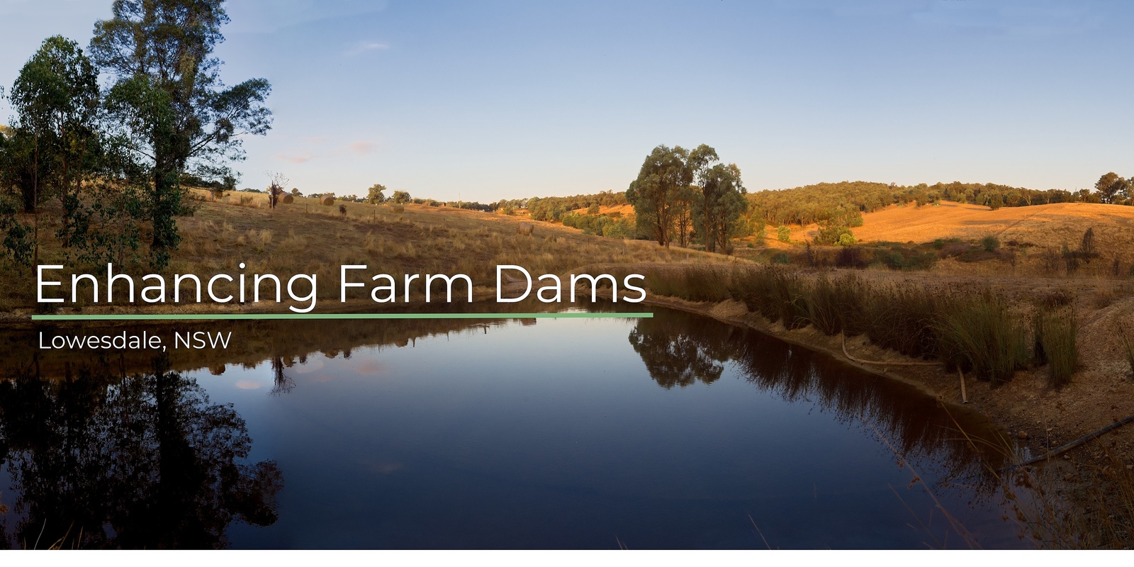 Banner image for Enhancing Farm Dams: For Water Quality, Wildlife & Water Security