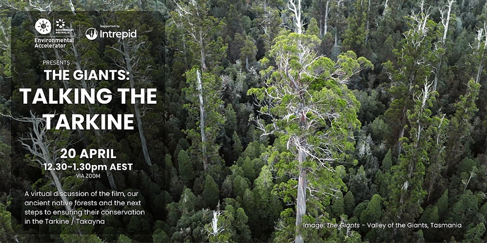 Banner image for The Giants: Talking the Tarkine