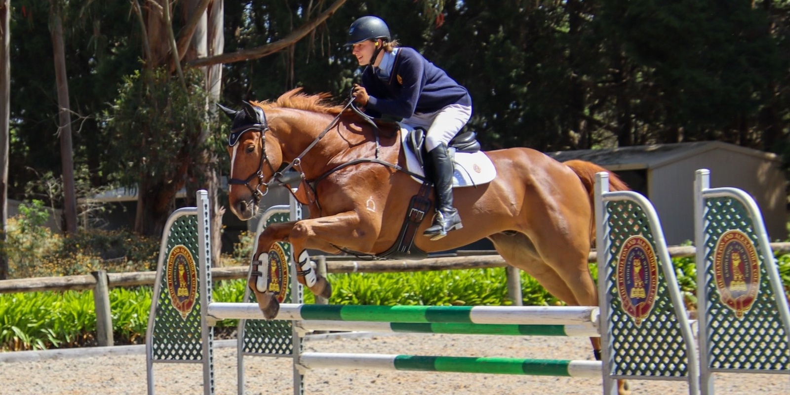 Banner image for Interhouse Jumping Competition - Horsemanship Dinner & Awards