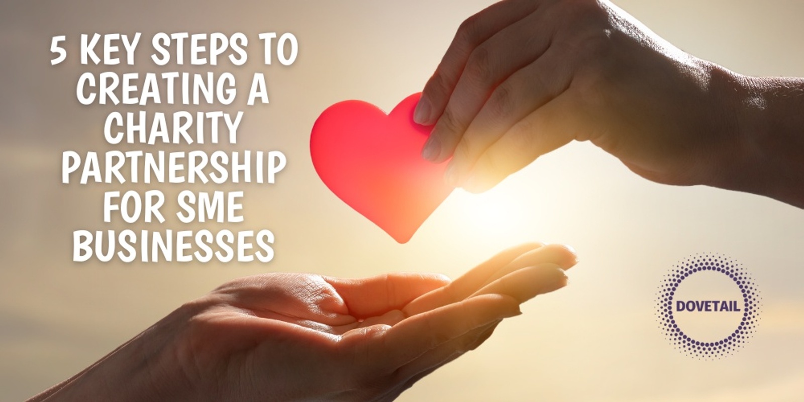 Banner image for 5 Key Steps to Creating a Charity Partnership for your SME Business