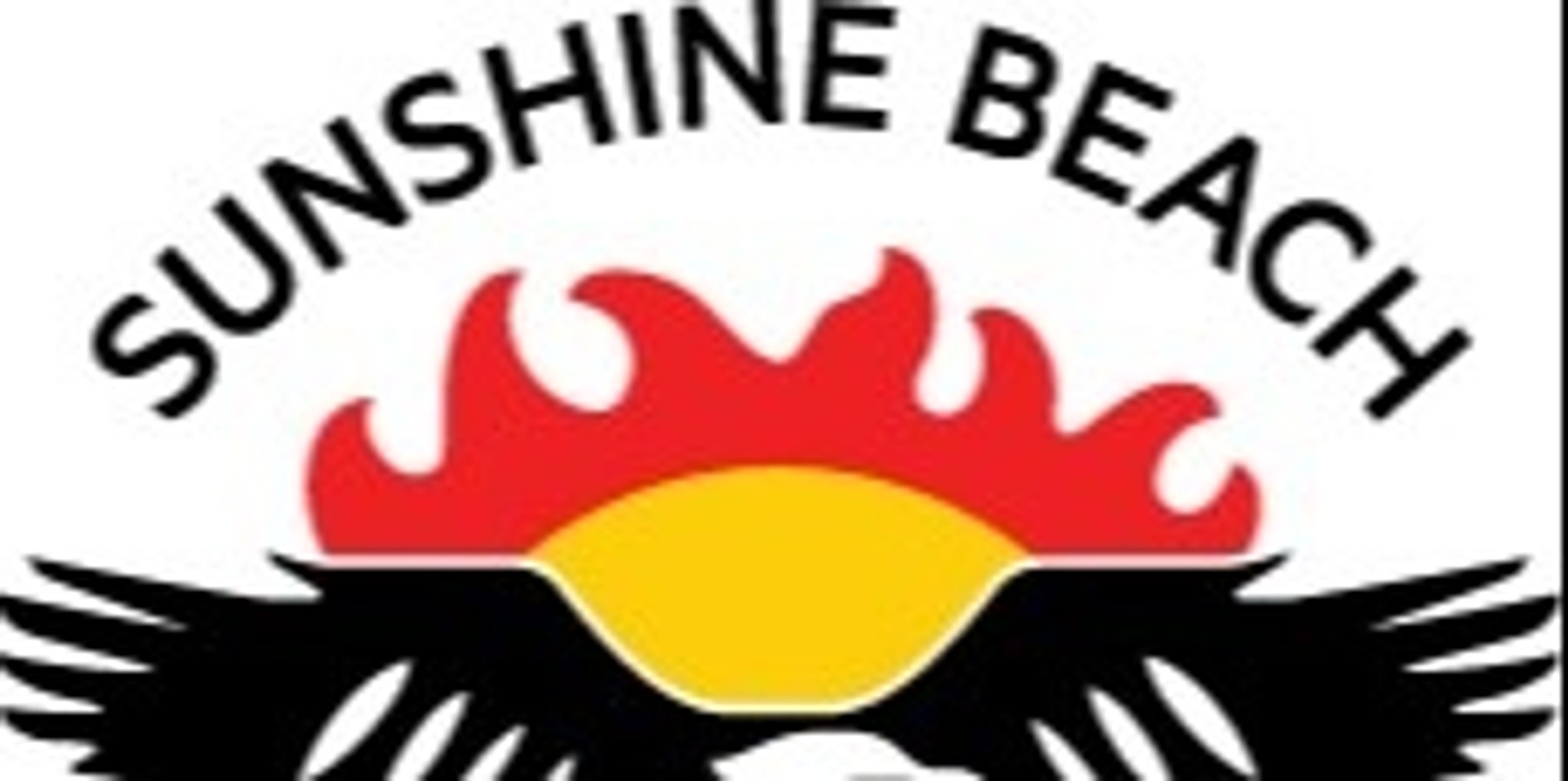 Banner image for Sunshine Beach SLSC Constitution Review