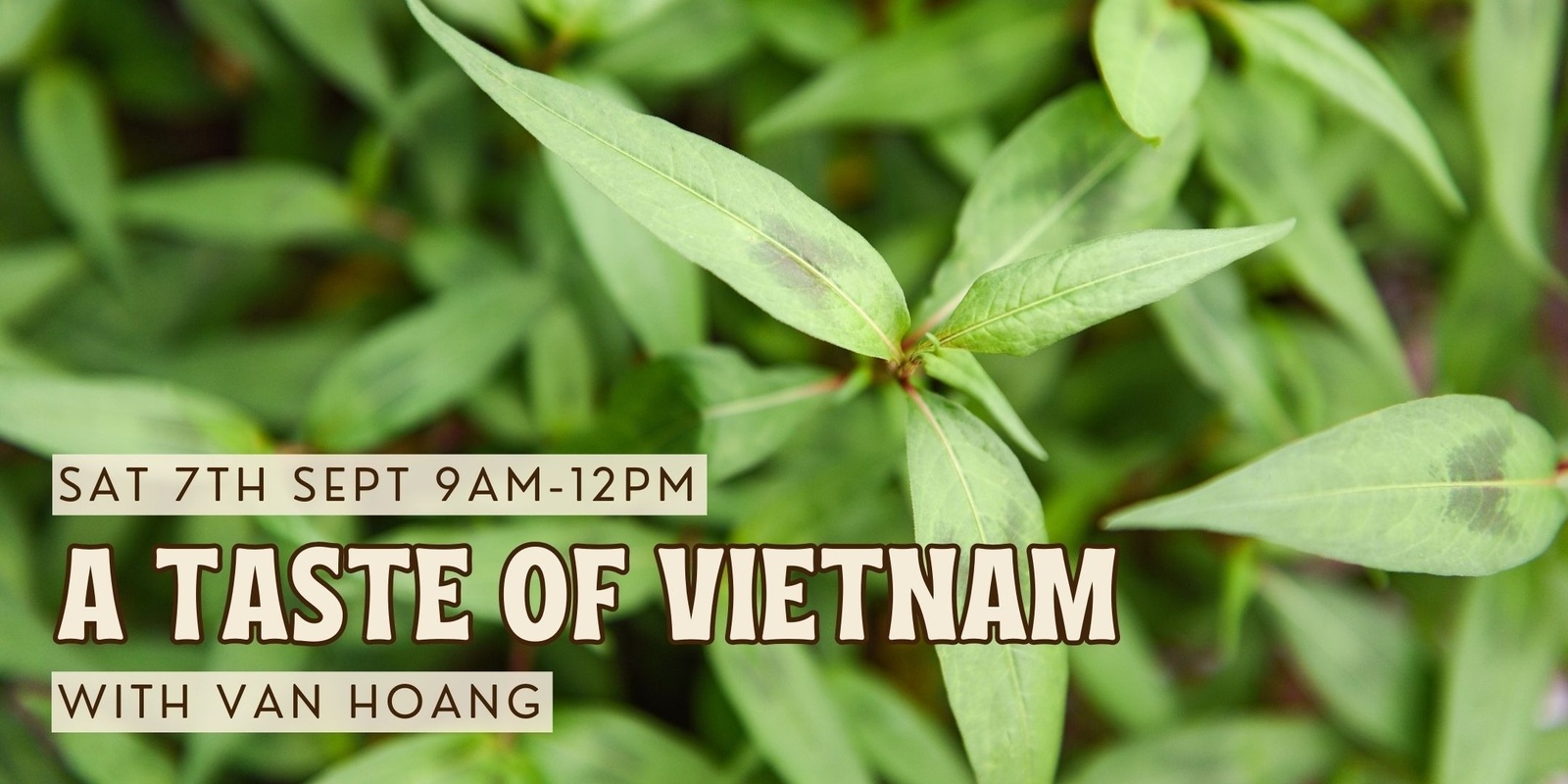 Banner image for A Taste of Vietnam with Van Hoang