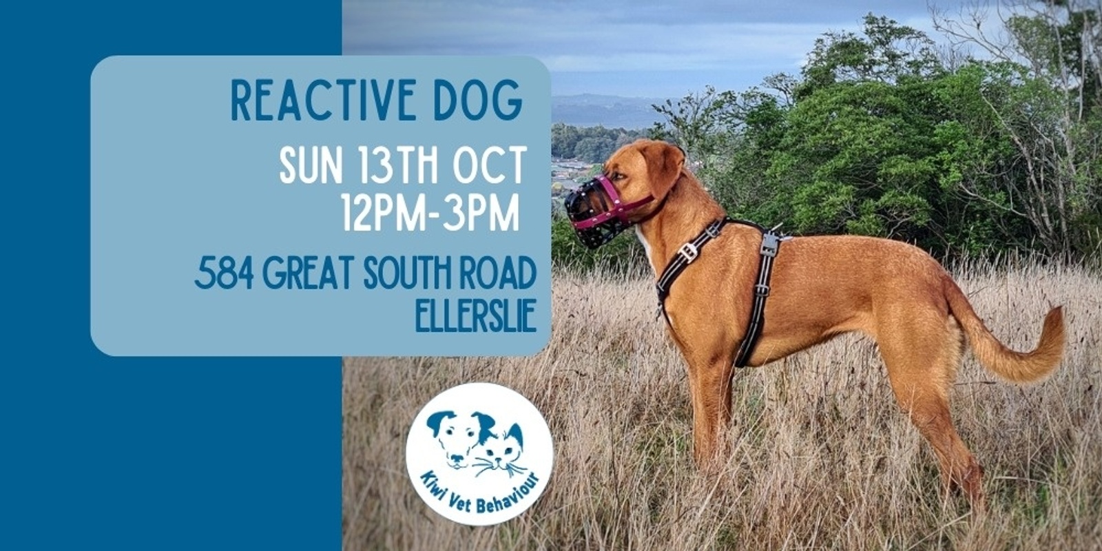 Banner image for Reactive Dog Workshop