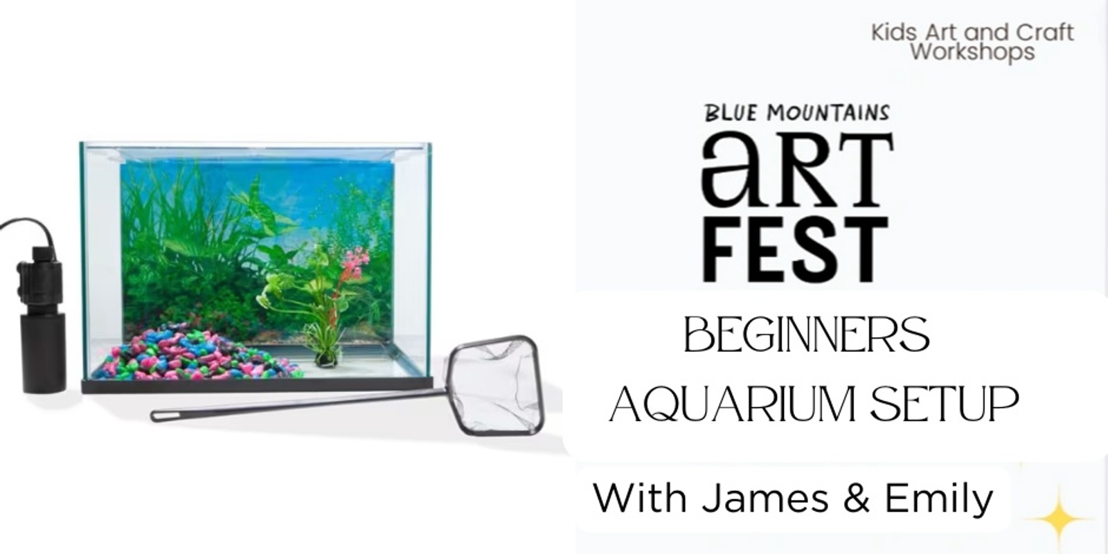 Banner image for Beginners Aquarium Start Up