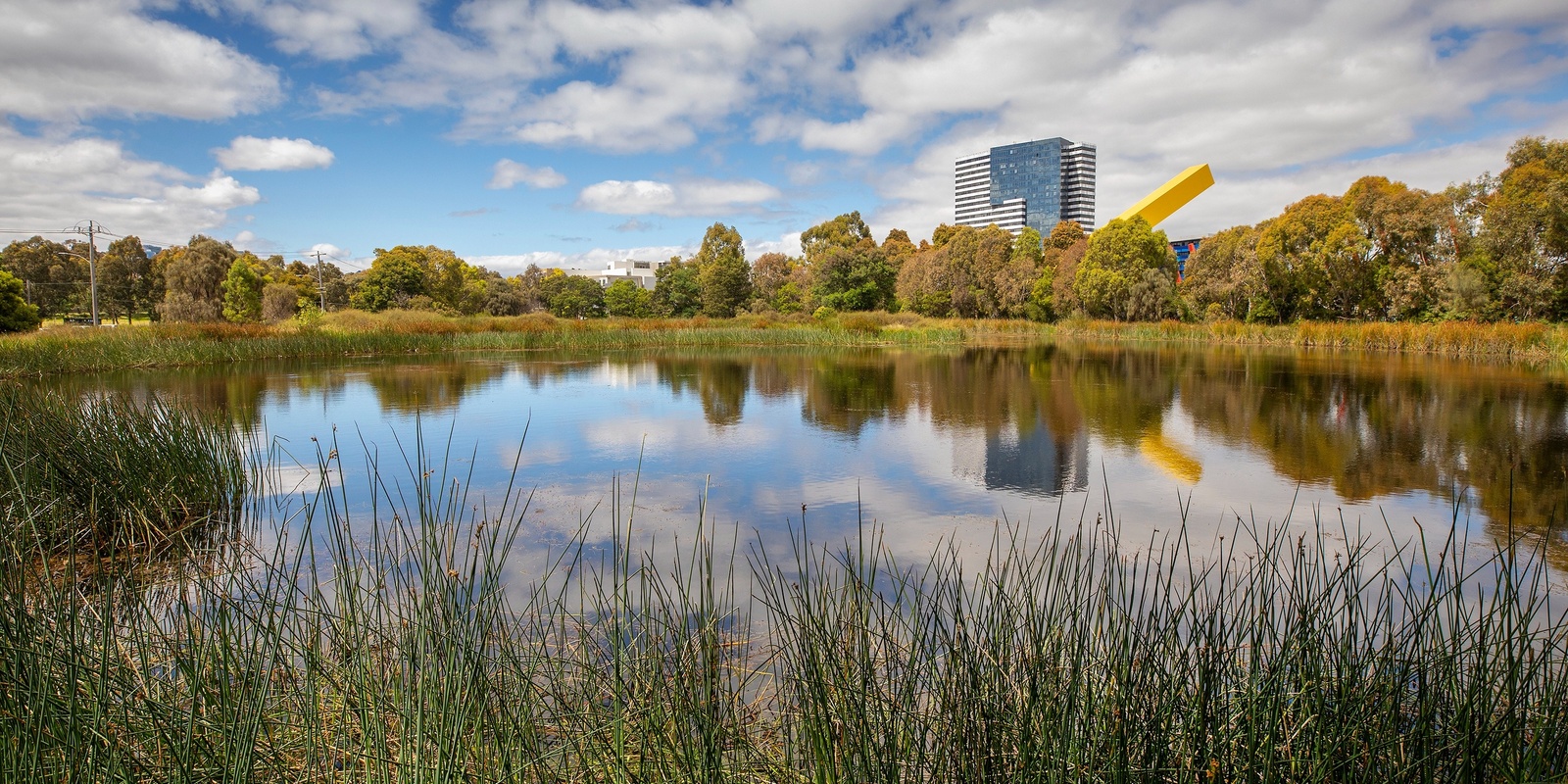 Banner image for Summer Fun(draiser): Re/discover Royal Park with GML Heritage and City of Melbourne