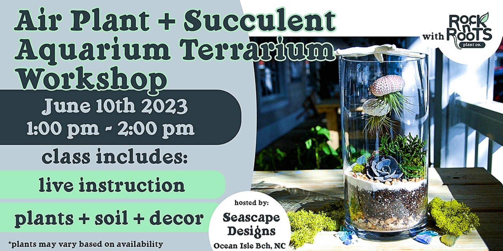Air Plant + Succulent Aquarium Terrarium Workshop at Seascape Designs (Ocean Isle Beach, NC)