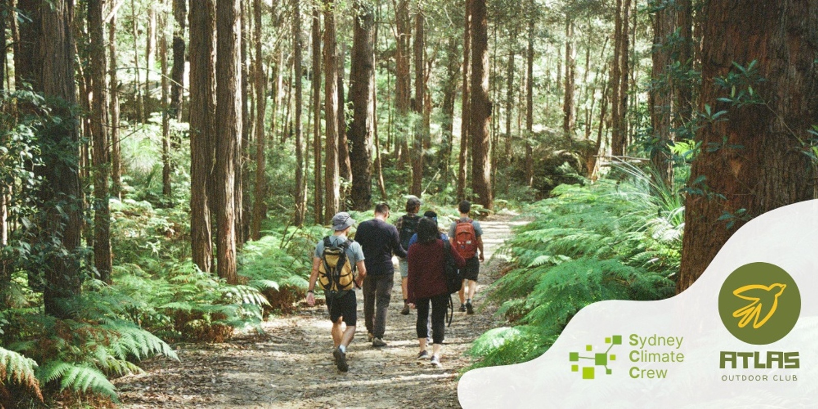 Banner image for July Hike | Sydney Climate Crew x Atlas Outdoor Club