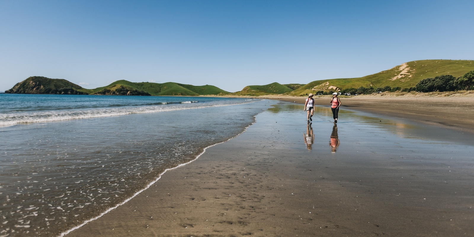 Banner image for Tararua Agritourism - November Networking evening