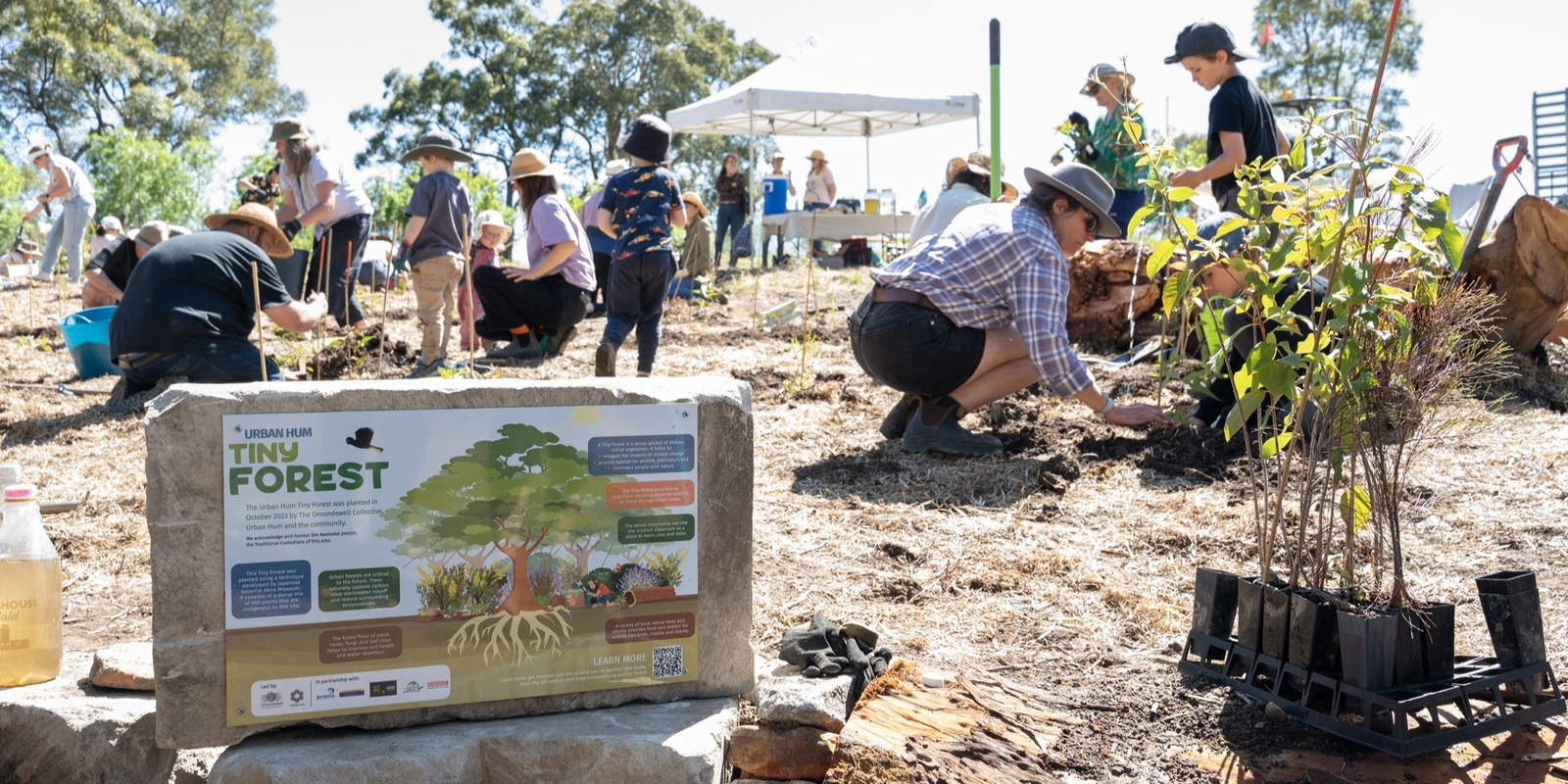 Banner image for Urban Hum Tiny Forest Monitoring and Maintenance Session 