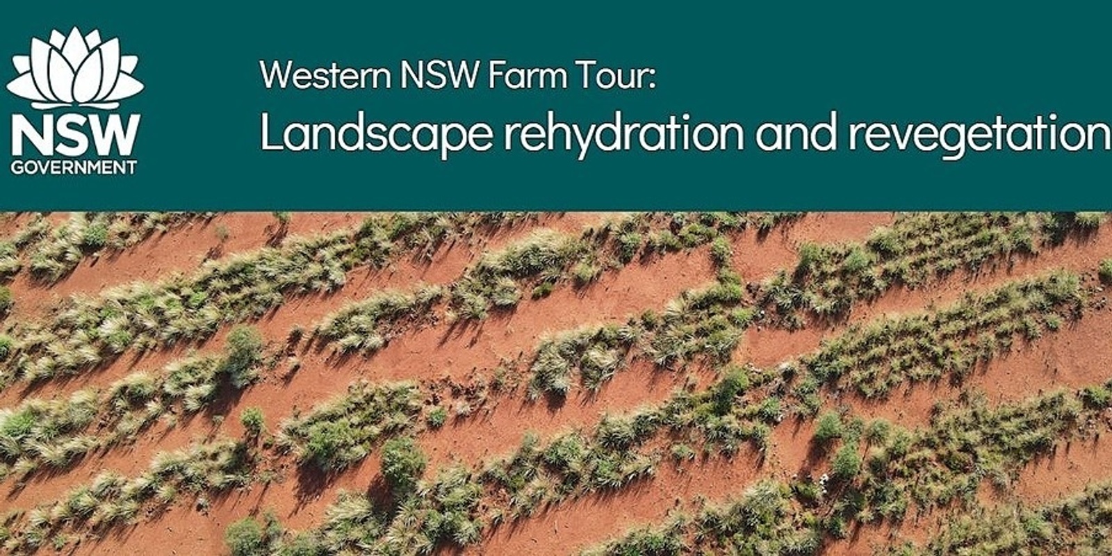 Banner image for Western NSW Farm Tour:  Landscape rehydration and revegetation 