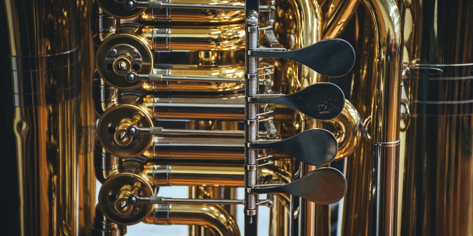 Banner image for Tuba is it!