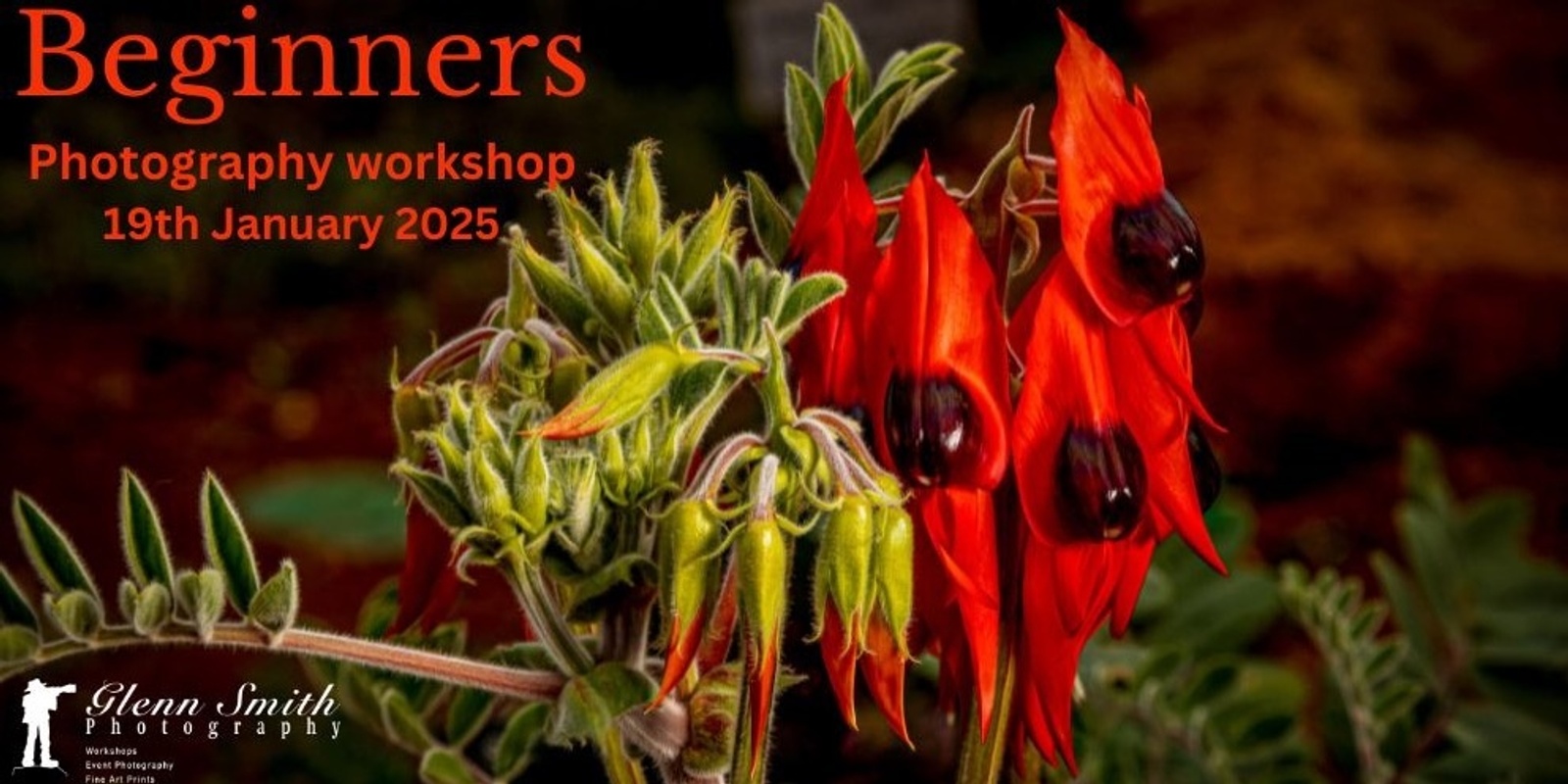 Banner image for Beginners Photography Workshop