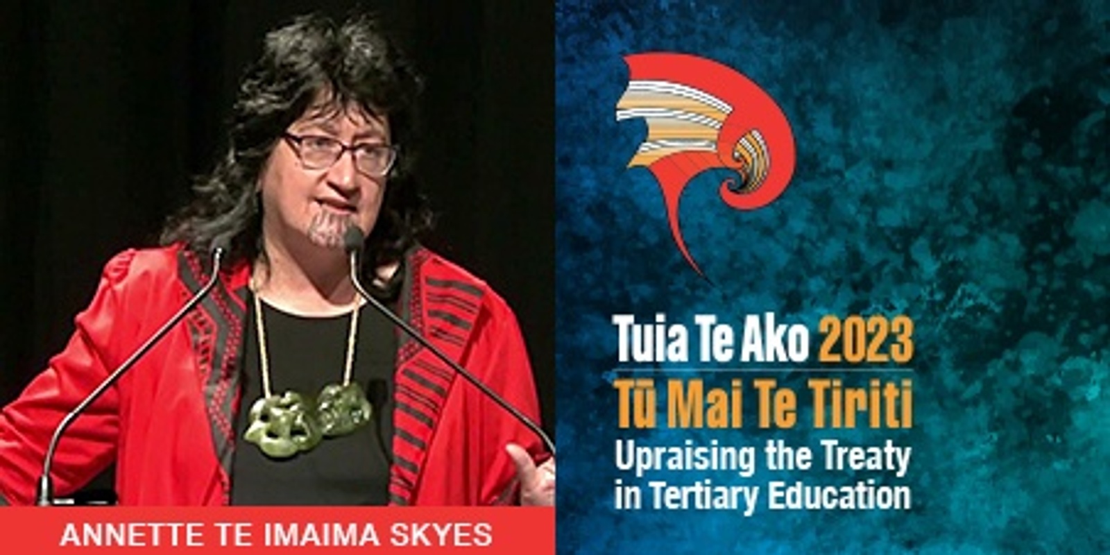 Banner image for Tū Mai Te Tiriti | Upraising the Treaty in Tertiary Education - Annette Sykes