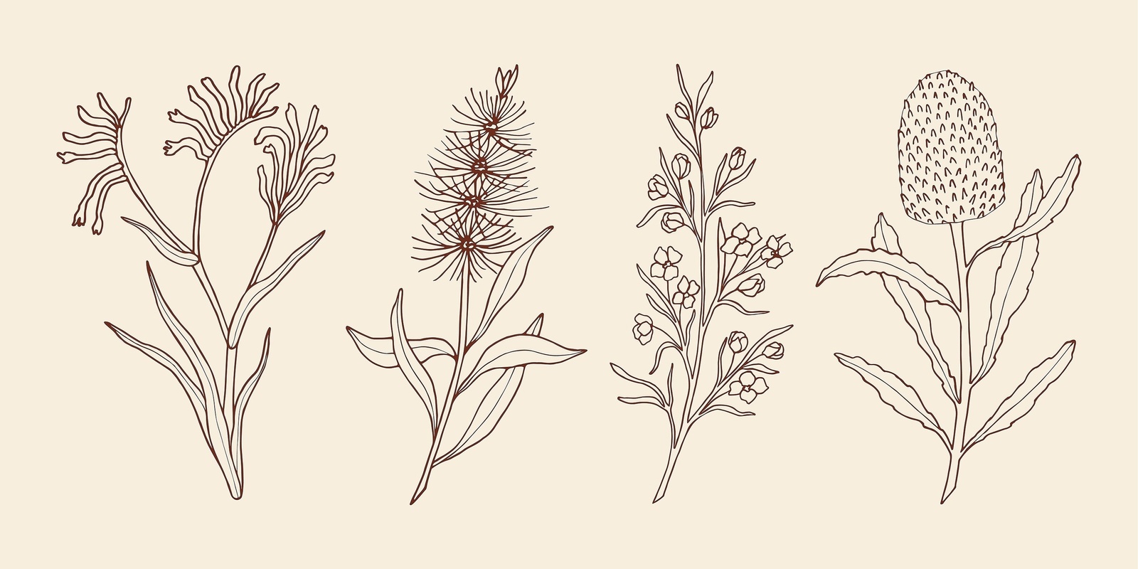 Banner image for Nature's Intricacies: Drawing Native Plants