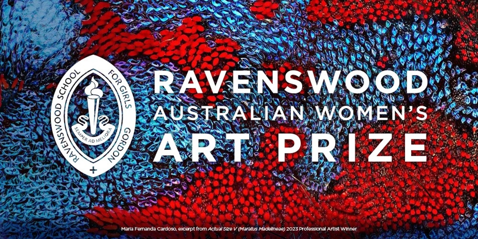 Banner image for 2024 Ravenswood Australian Women's Art Prize Opening Night