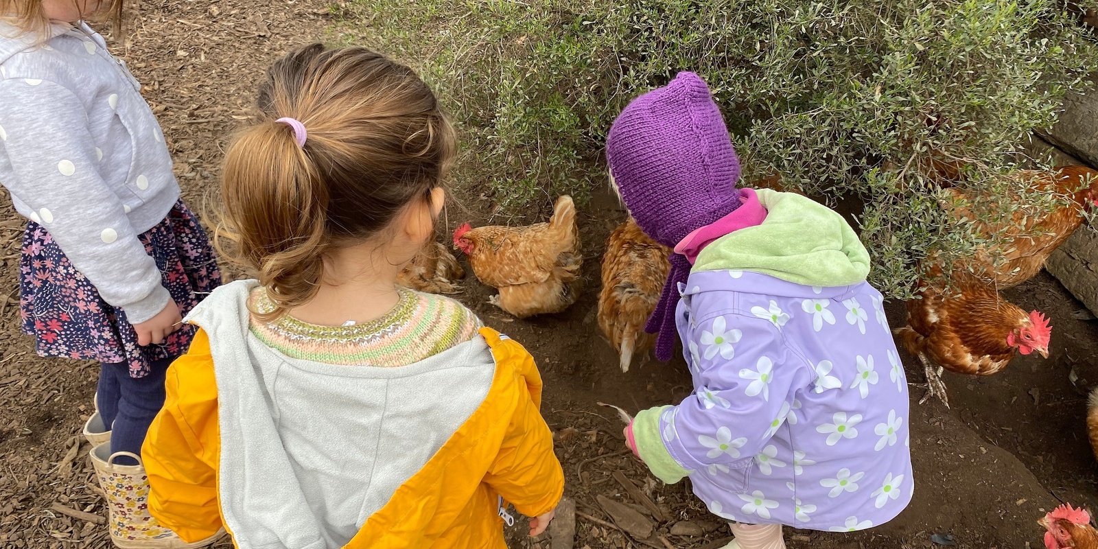 Banner image for Nature Playgroup @ CERES, Brunswick East - Mondays Term 1 2024