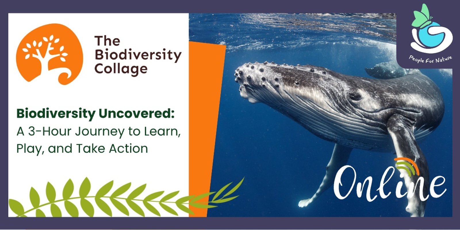 Banner image for Biodiversity Collage Online - World Whale Day - February 2025