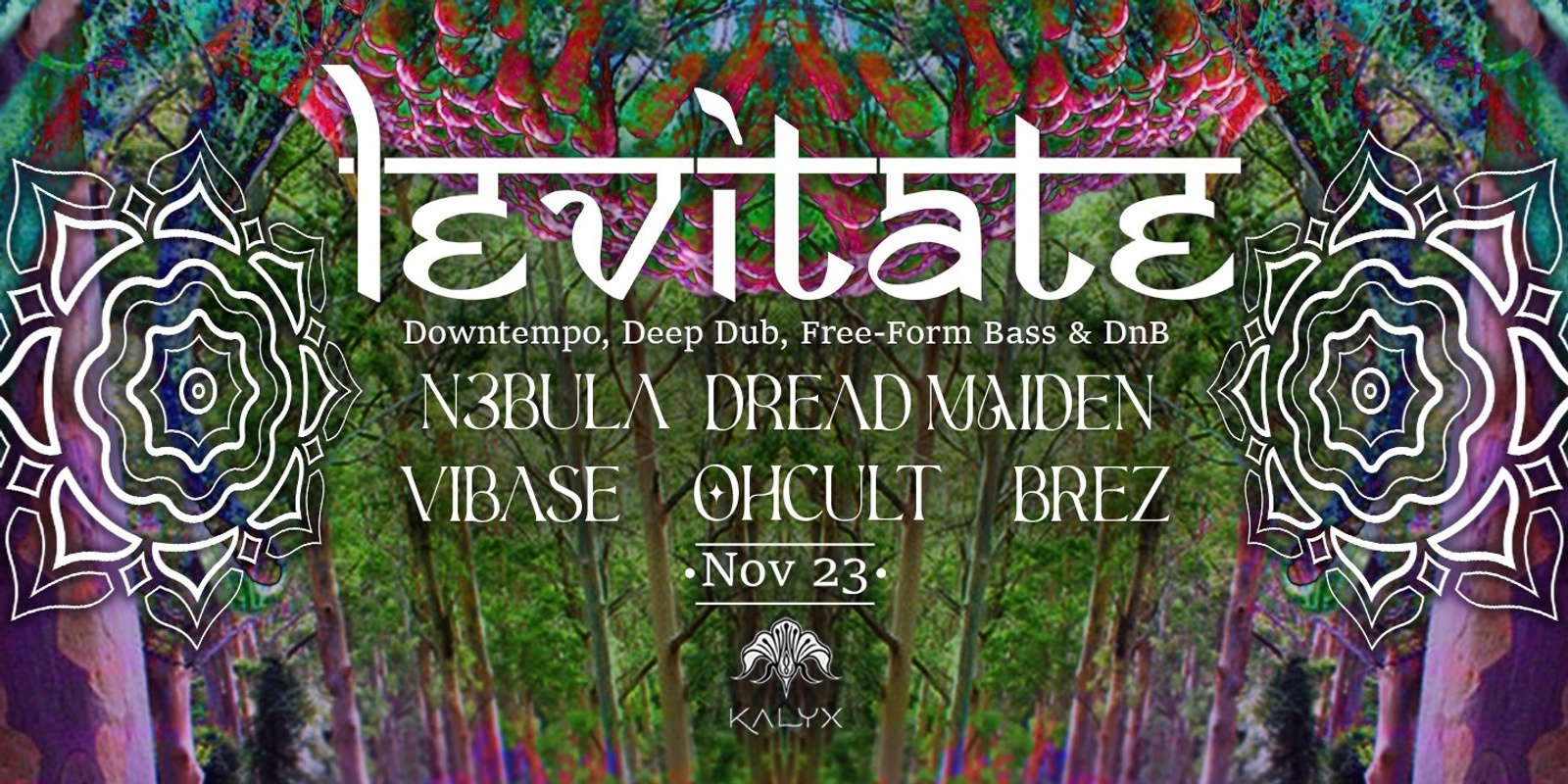 Banner image for Levitate @ Kalyx Culture - November Edition