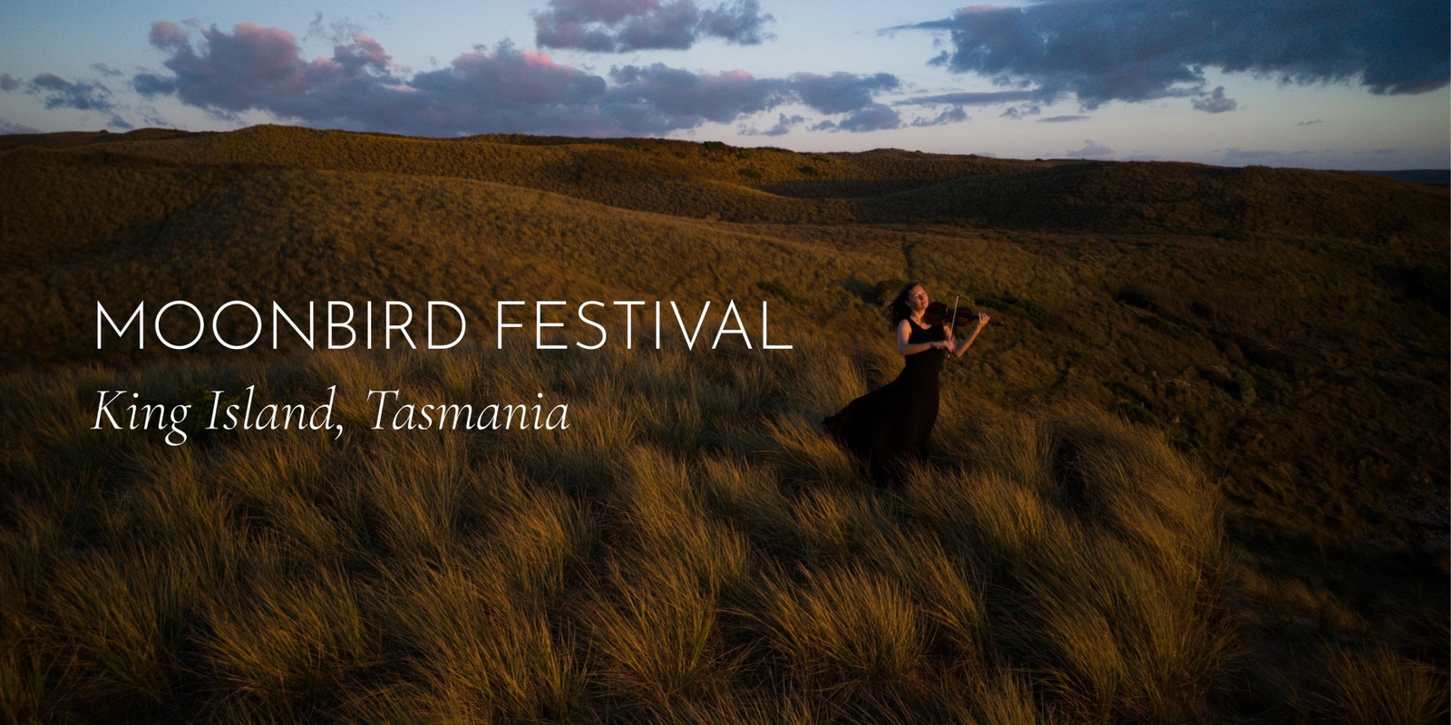 Banner image for The Moonbird Festival - King Island