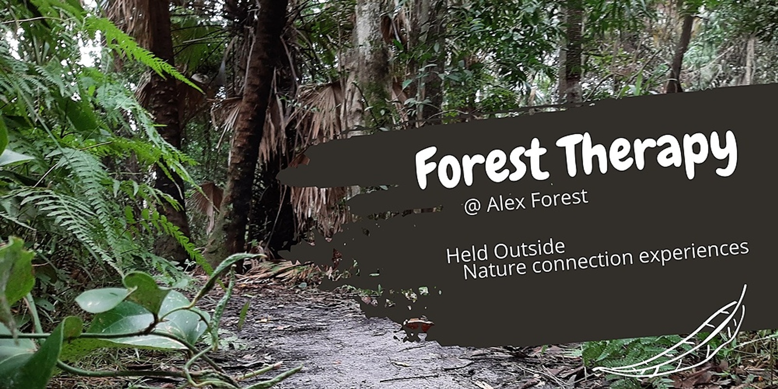 Forest Therapy at Alex Forest 2 April 23