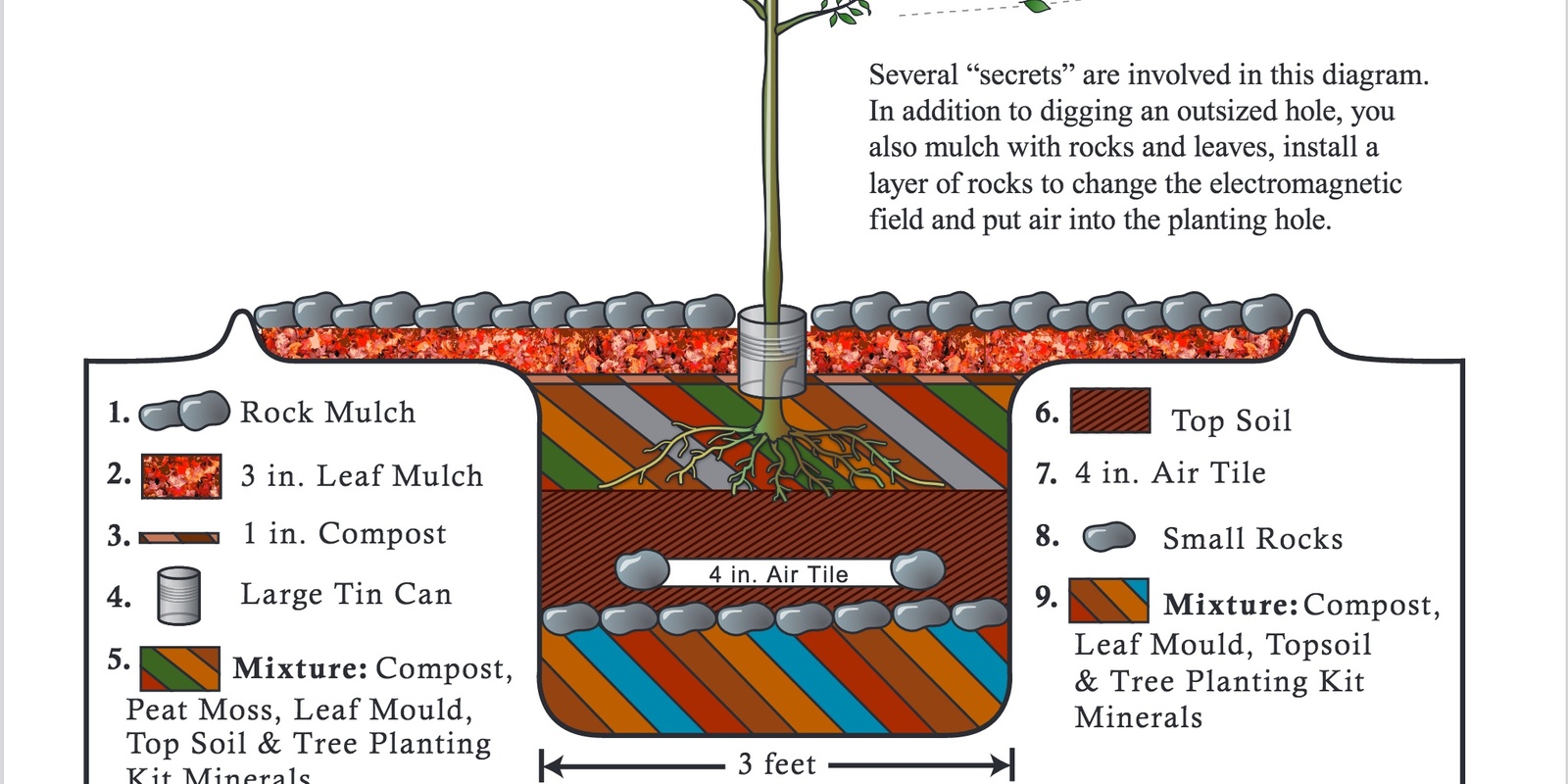 Banner image for Fruit Tree Planting - the Ellen White Method