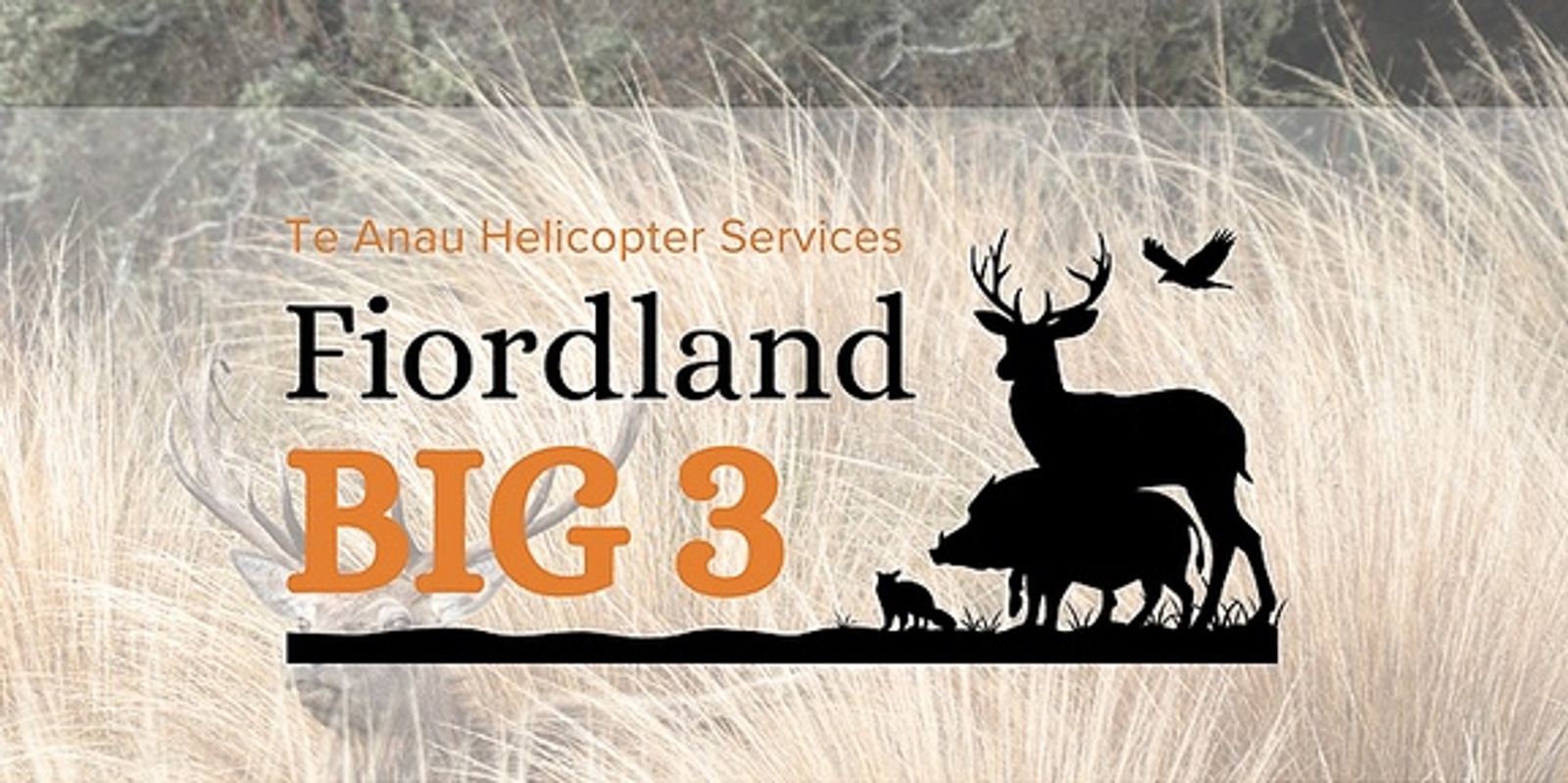 Banner image for Fiordland Big 3