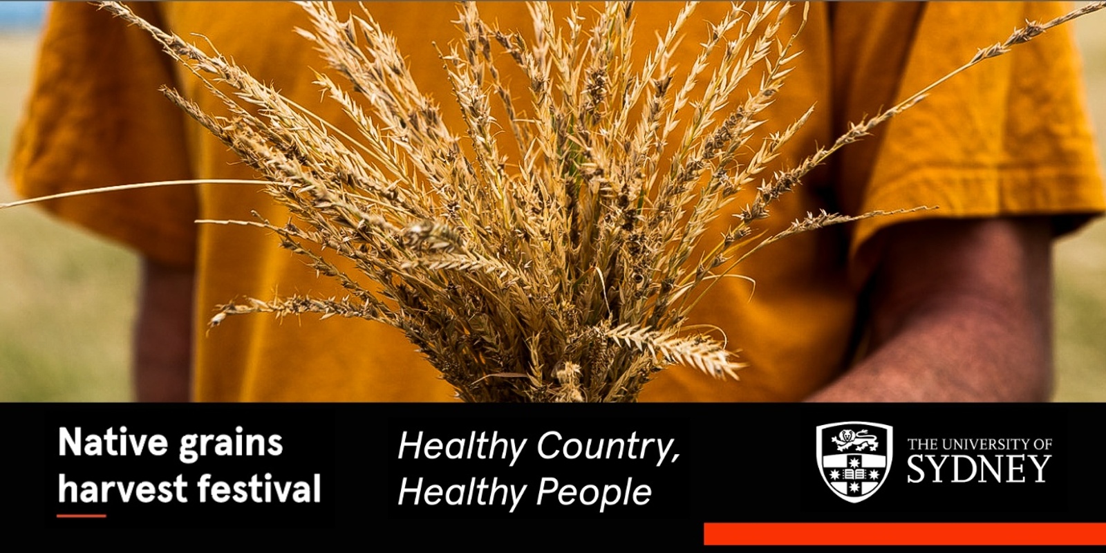 Banner image for Native grains harvest festival